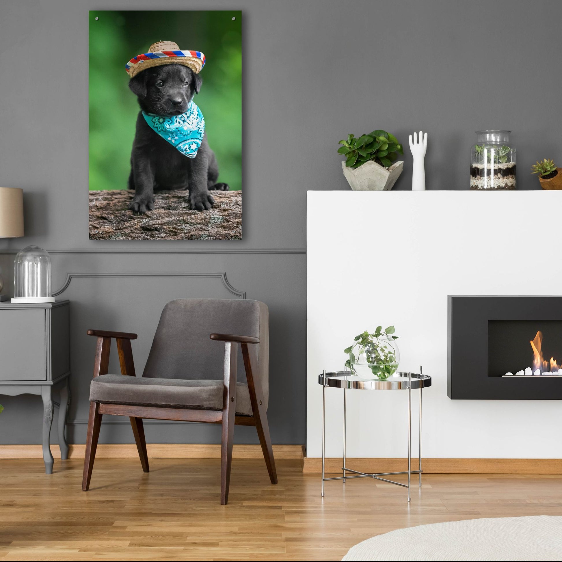 Epic Art 'Black Lab Pup 6' by Jonathan Ross, Acrylic Glass Wall Art,24x36