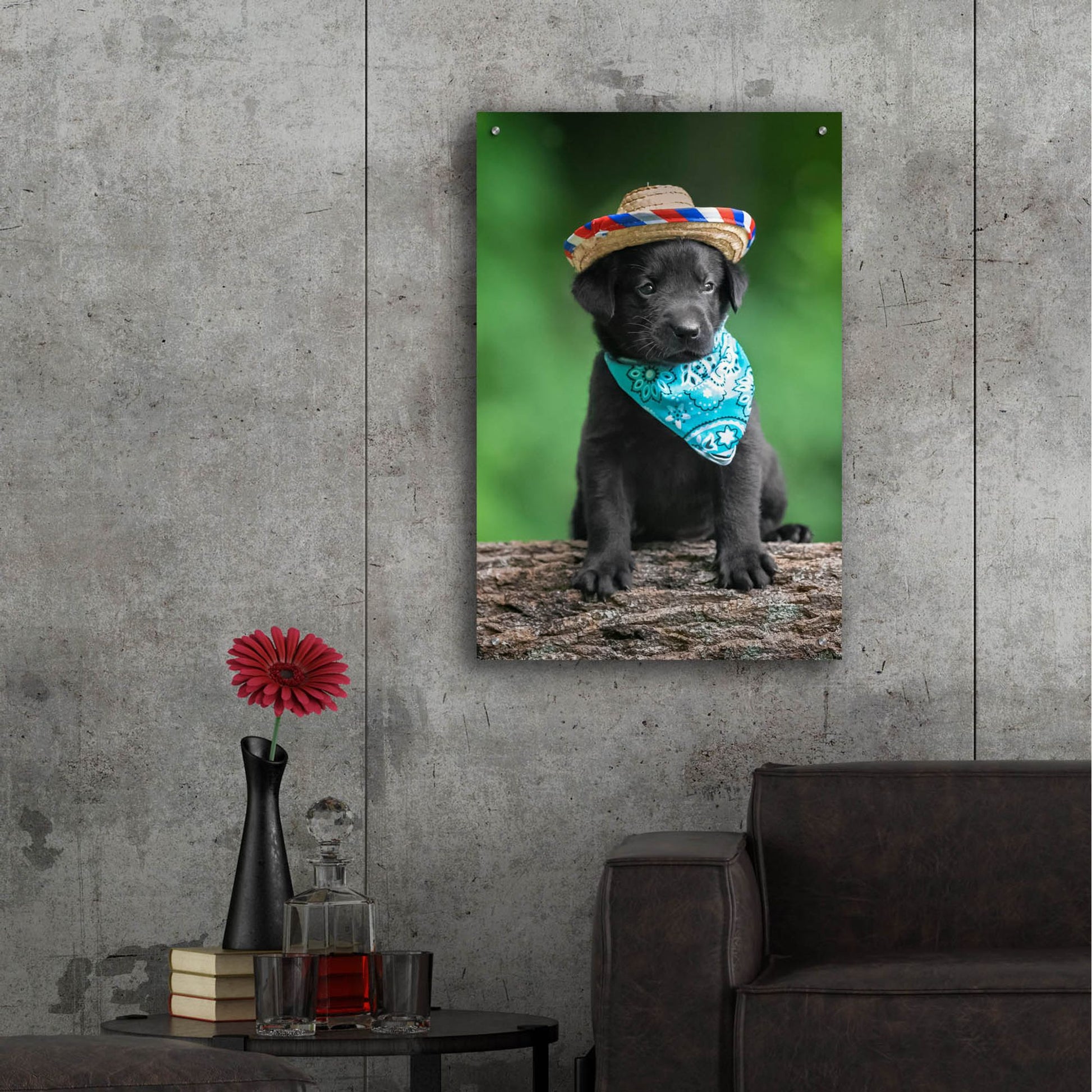 Epic Art 'Black Lab Pup 6' by Jonathan Ross, Acrylic Glass Wall Art,24x36