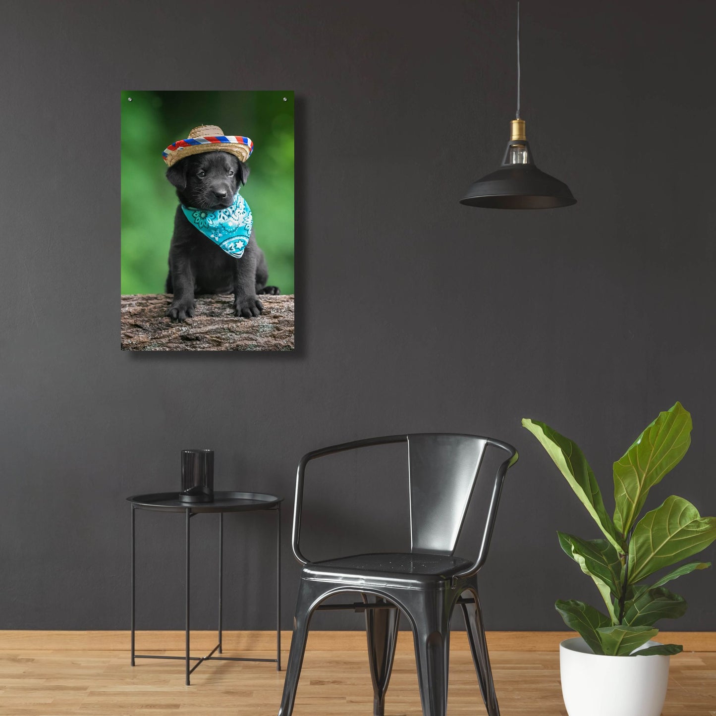 Epic Art 'Black Lab Pup 6' by Jonathan Ross, Acrylic Glass Wall Art,24x36
