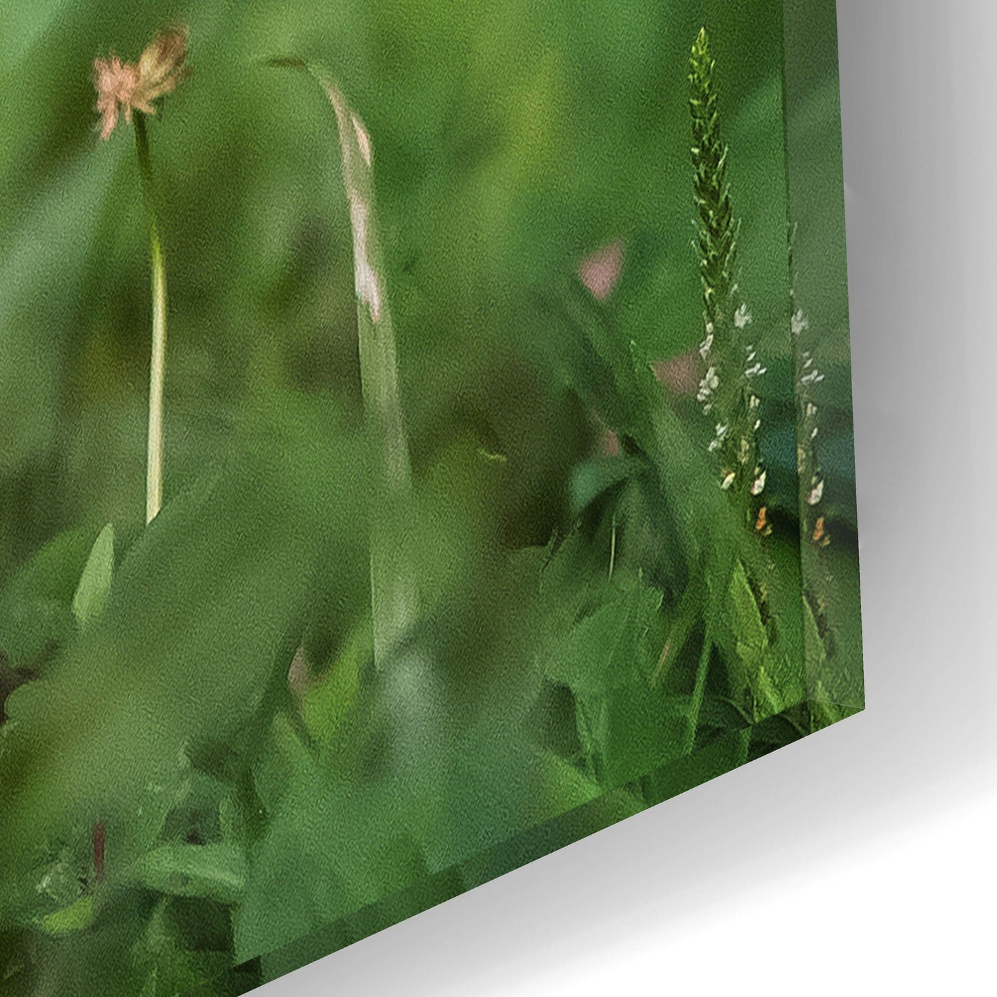 Epic Art 'Black Lab Pup 10' by Jonathan Ross, Acrylic Glass Wall Art,16x12