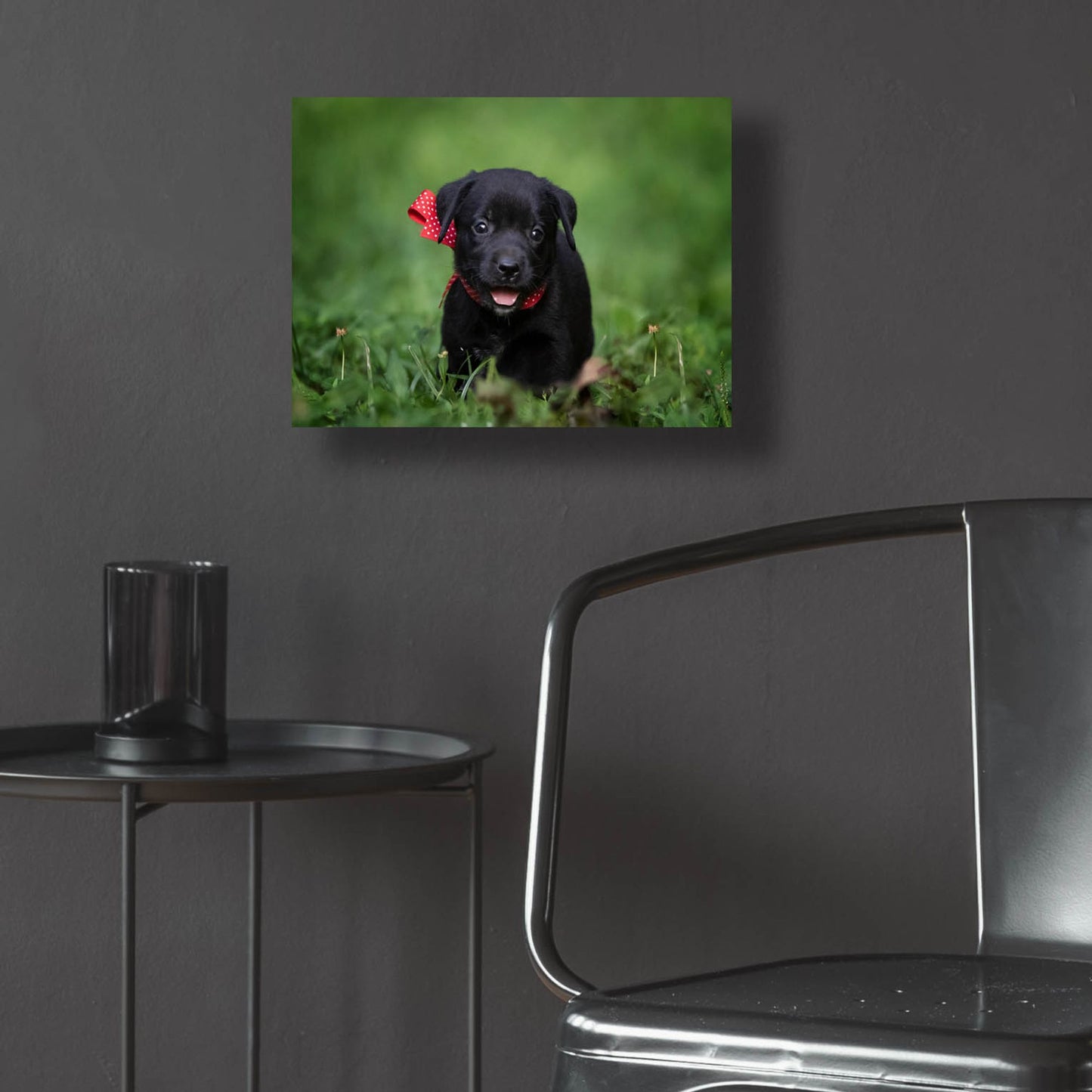Epic Art 'Black Lab Pup 10' by Jonathan Ross, Acrylic Glass Wall Art,16x12