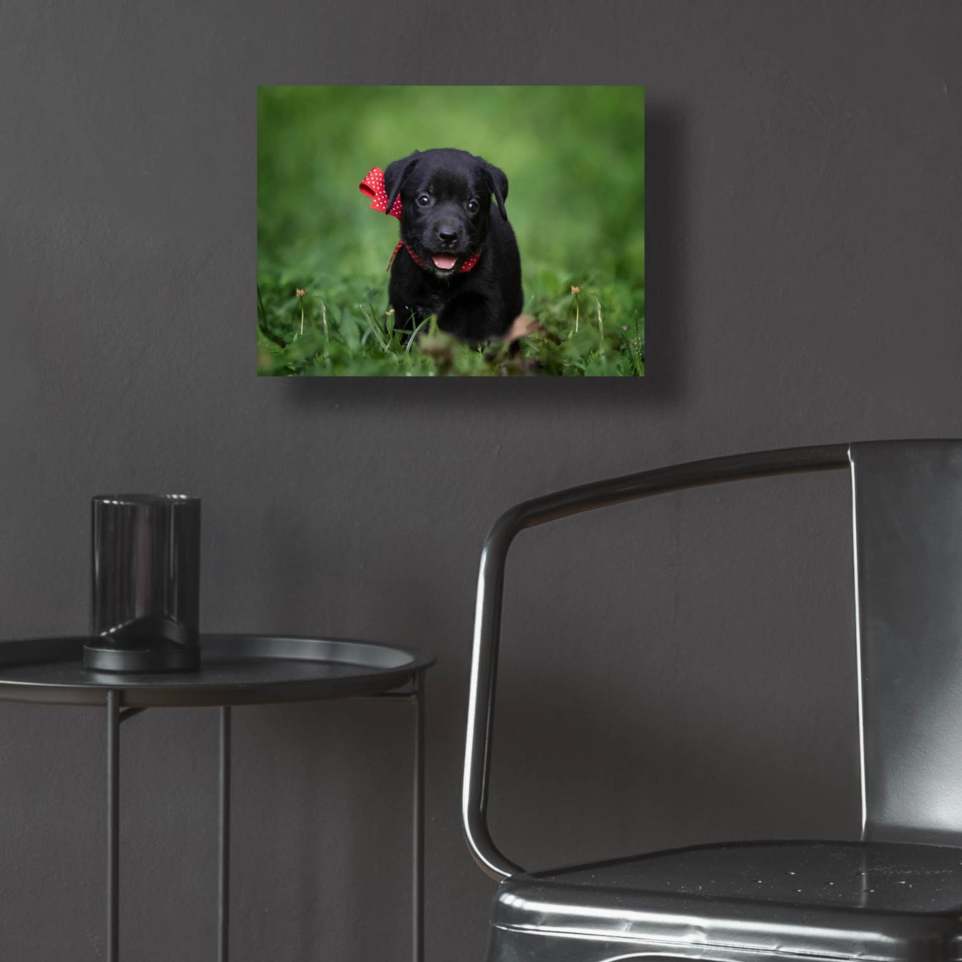 Epic Art 'Black Lab Pup 10' by Jonathan Ross, Acrylic Glass Wall Art,16x12