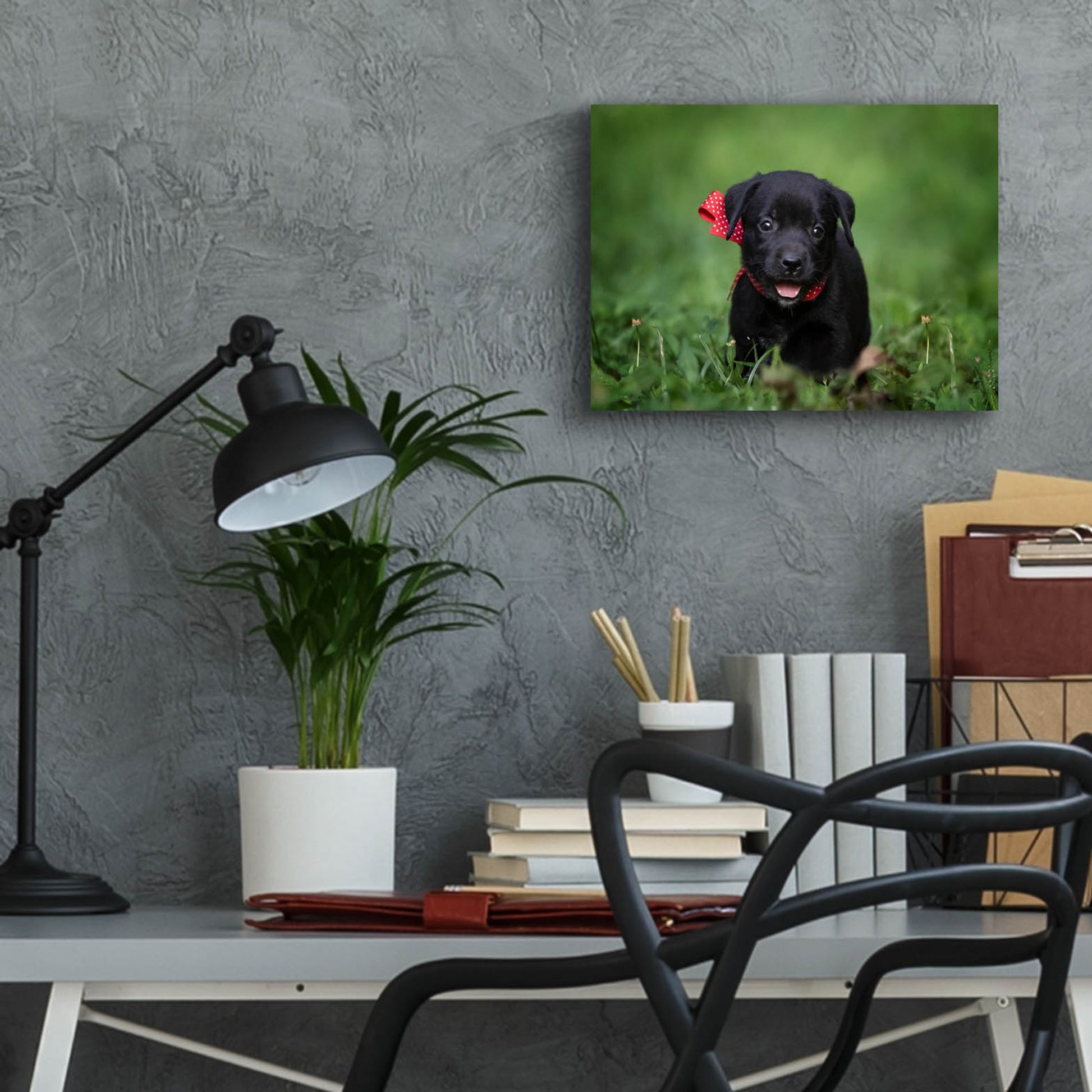 Epic Art 'Black Lab Pup 10' by Jonathan Ross, Acrylic Glass Wall Art,16x12