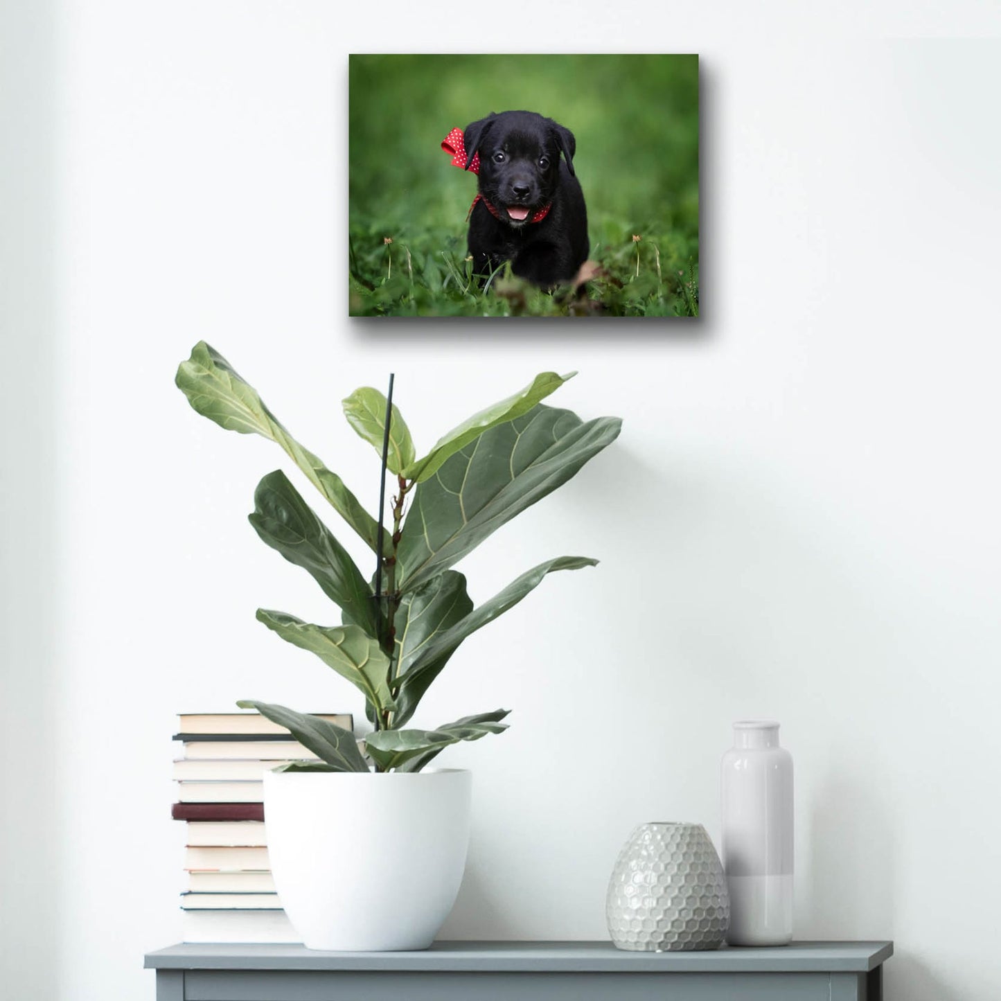 Epic Art 'Black Lab Pup 10' by Jonathan Ross, Acrylic Glass Wall Art,16x12