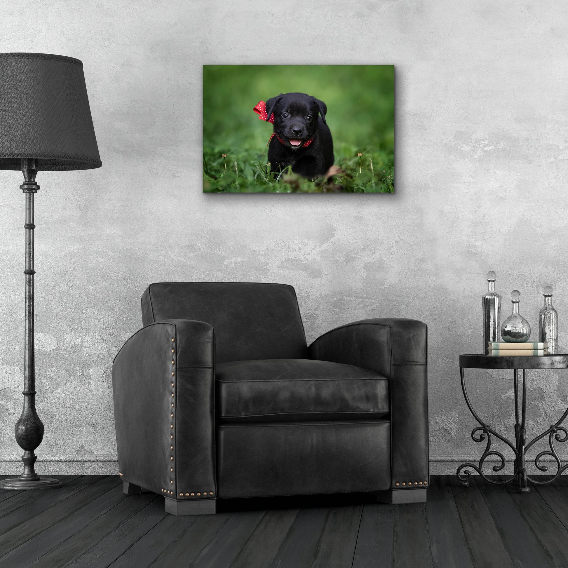 Epic Art 'Black Lab Pup 10' by Jonathan Ross, Acrylic Glass Wall Art,24x16