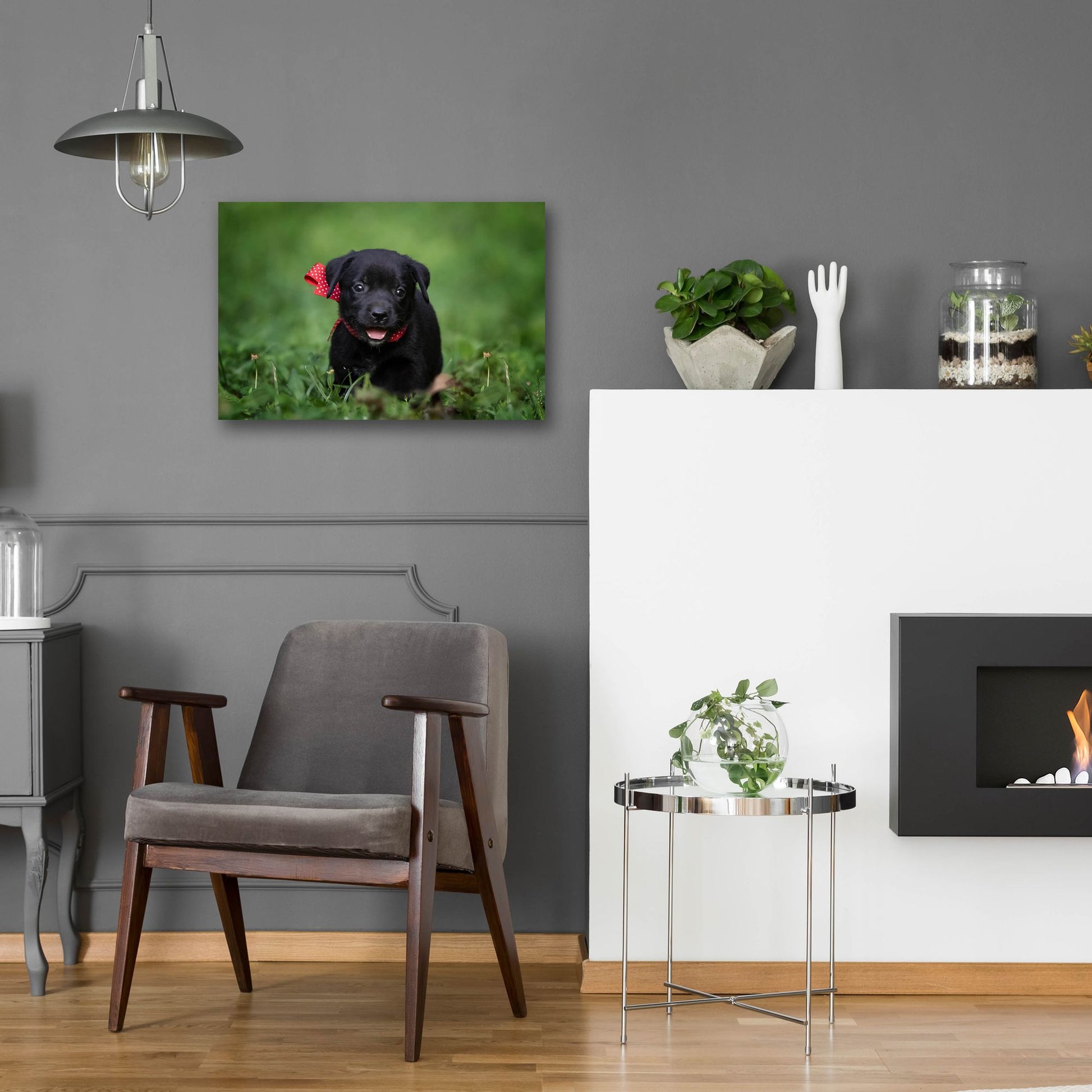 Epic Art 'Black Lab Pup 10' by Jonathan Ross, Acrylic Glass Wall Art,24x16