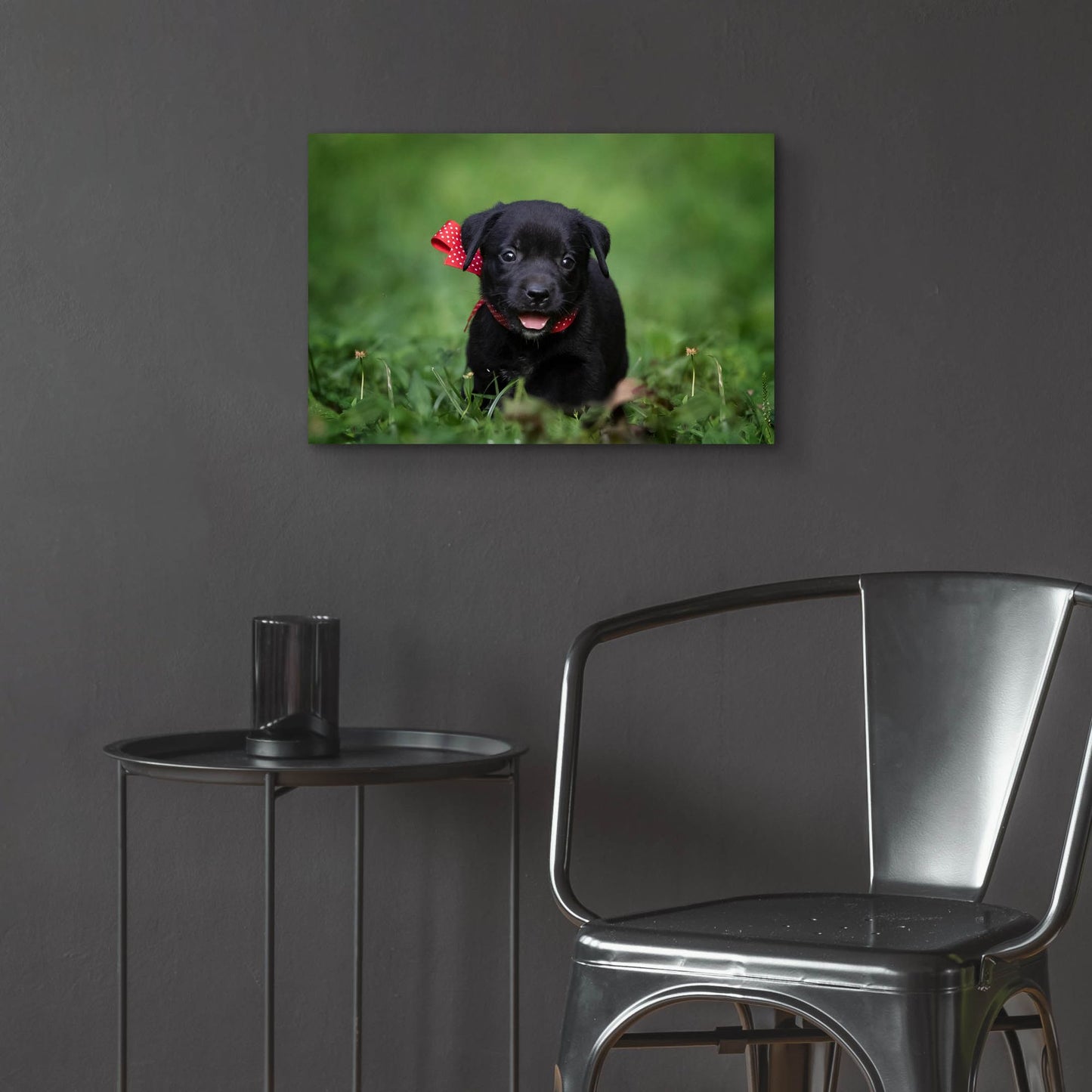 Epic Art 'Black Lab Pup 10' by Jonathan Ross, Acrylic Glass Wall Art,24x16