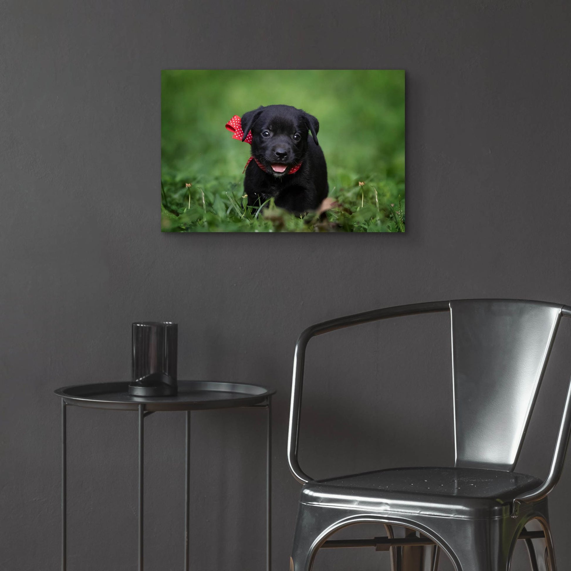 Epic Art 'Black Lab Pup 10' by Jonathan Ross, Acrylic Glass Wall Art,24x16