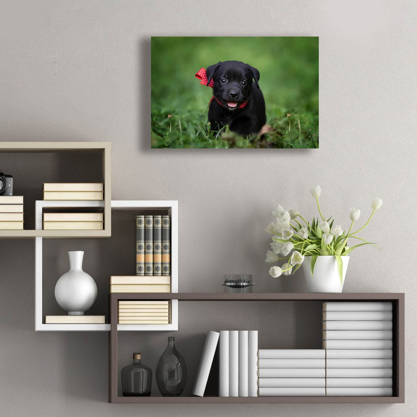 Epic Art 'Black Lab Pup 10' by Jonathan Ross, Acrylic Glass Wall Art,24x16