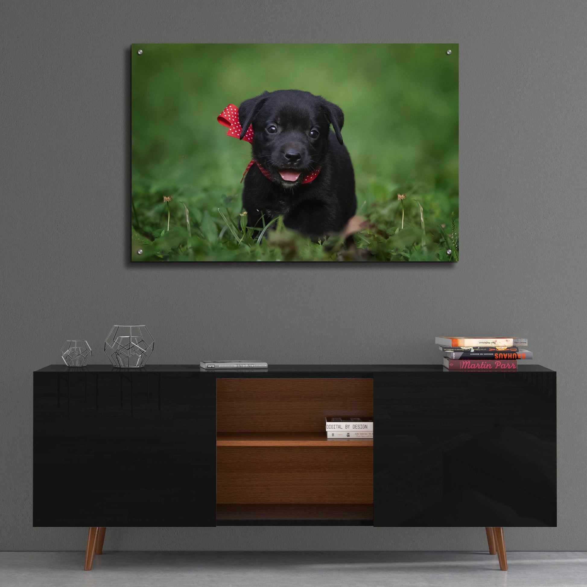Epic Art 'Black Lab Pup 10' by Jonathan Ross, Acrylic Glass Wall Art,36x24