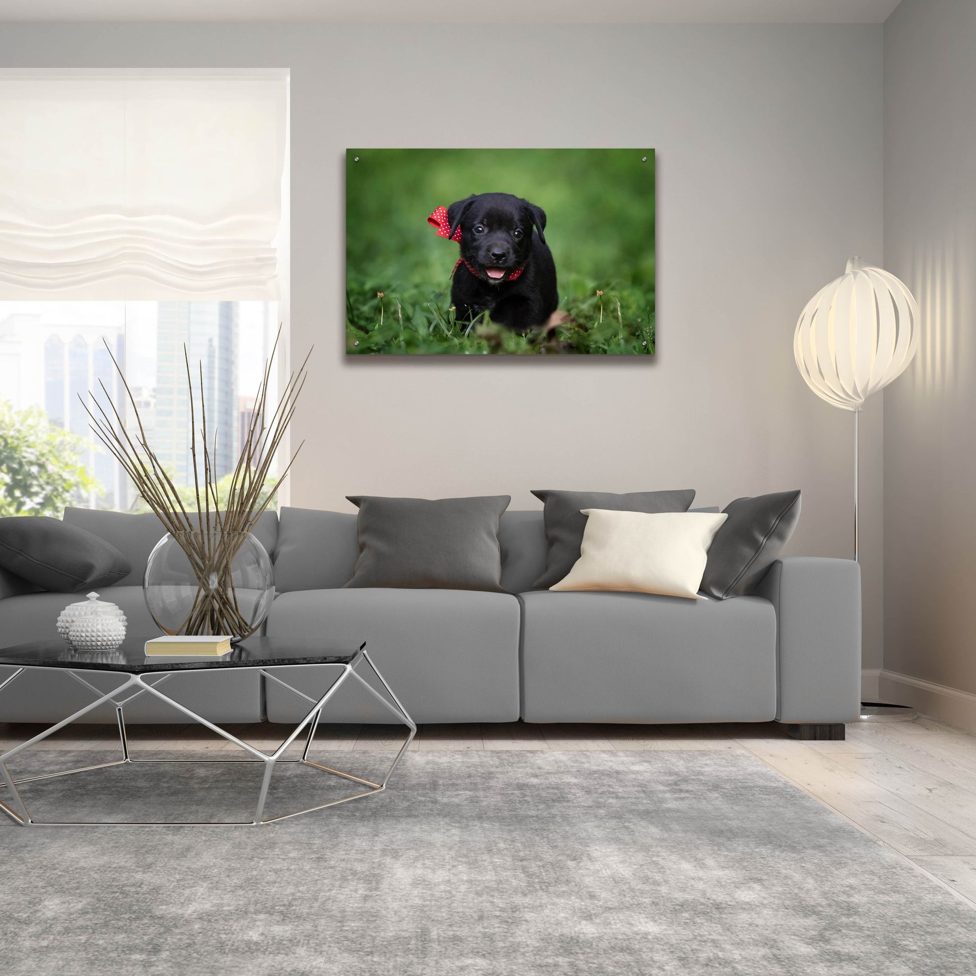 Epic Art 'Black Lab Pup 10' by Jonathan Ross, Acrylic Glass Wall Art,36x24