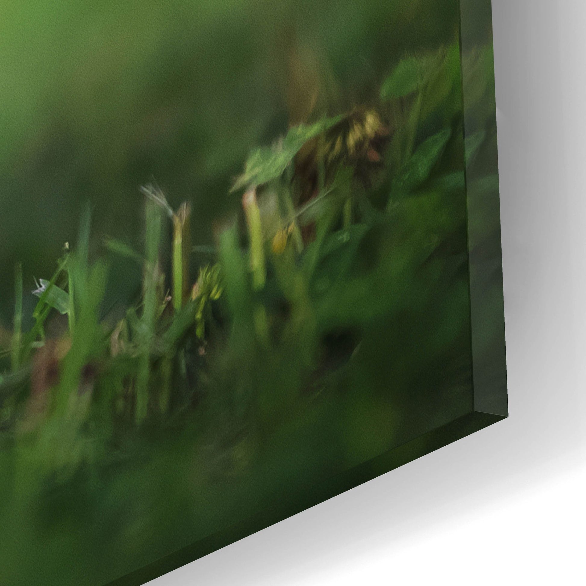 Epic Art 'Black Lab Pup 11' by Jonathan Ross, Acrylic Glass Wall Art,16x12