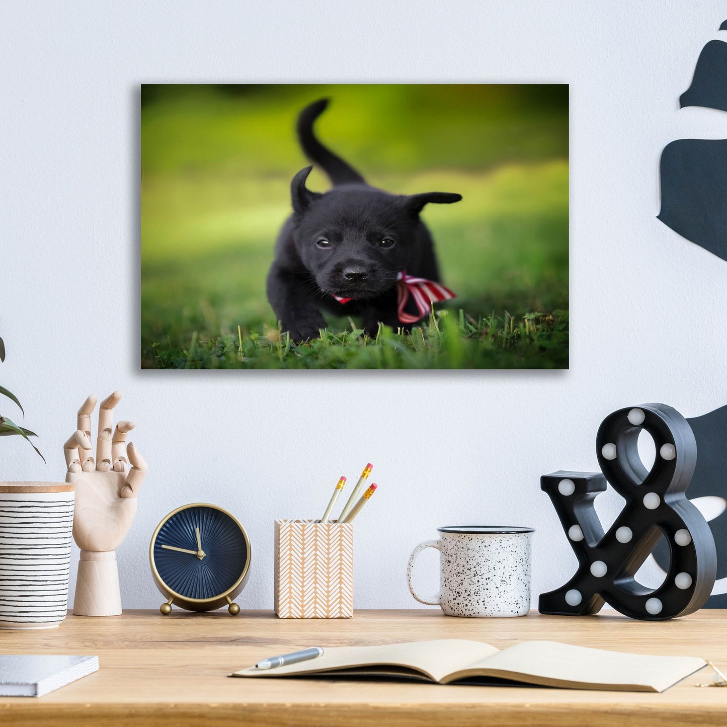 Epic Art 'Black Lab Pup 11' by Jonathan Ross, Acrylic Glass Wall Art,16x12