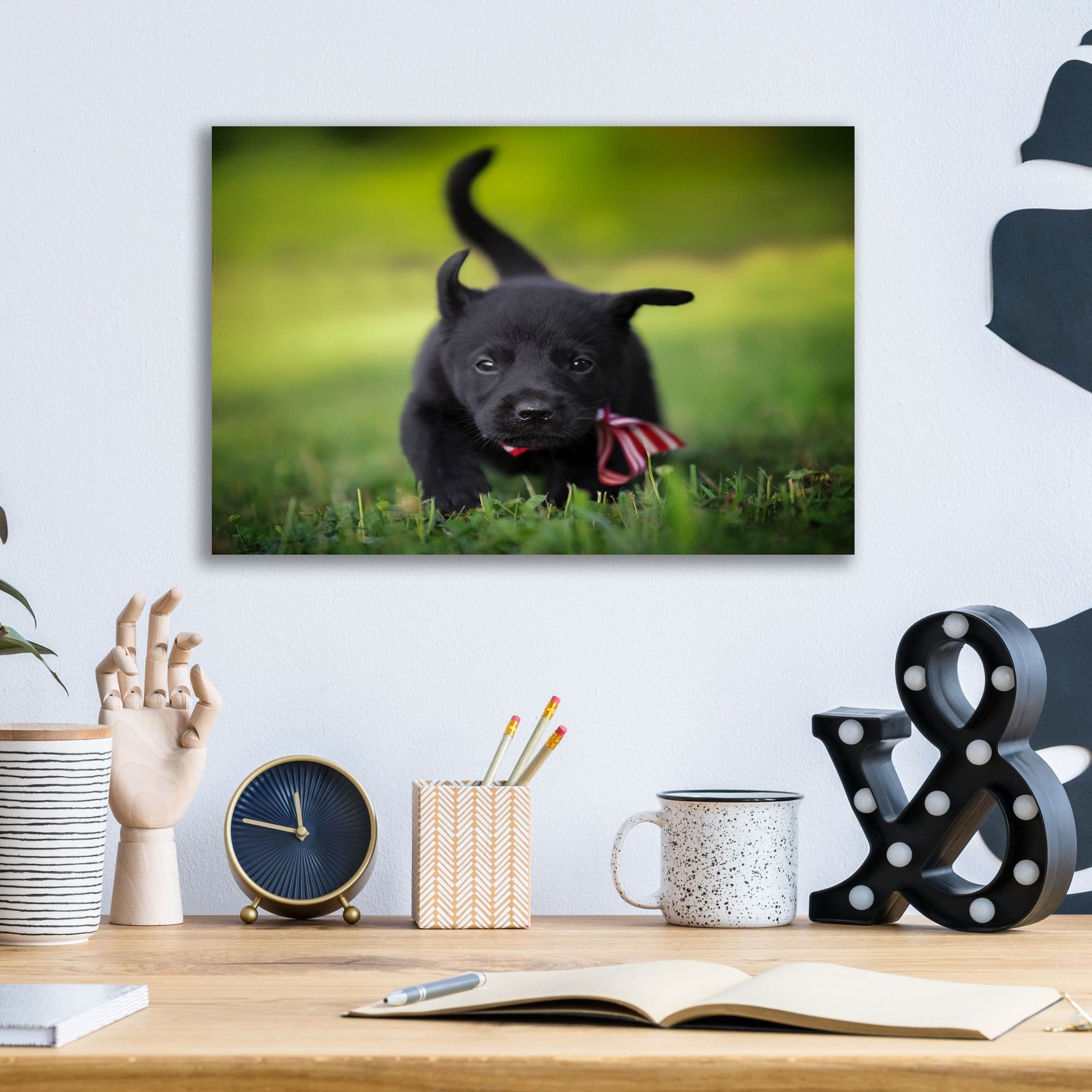 Epic Art 'Black Lab Pup 11' by Jonathan Ross, Acrylic Glass Wall Art,16x12