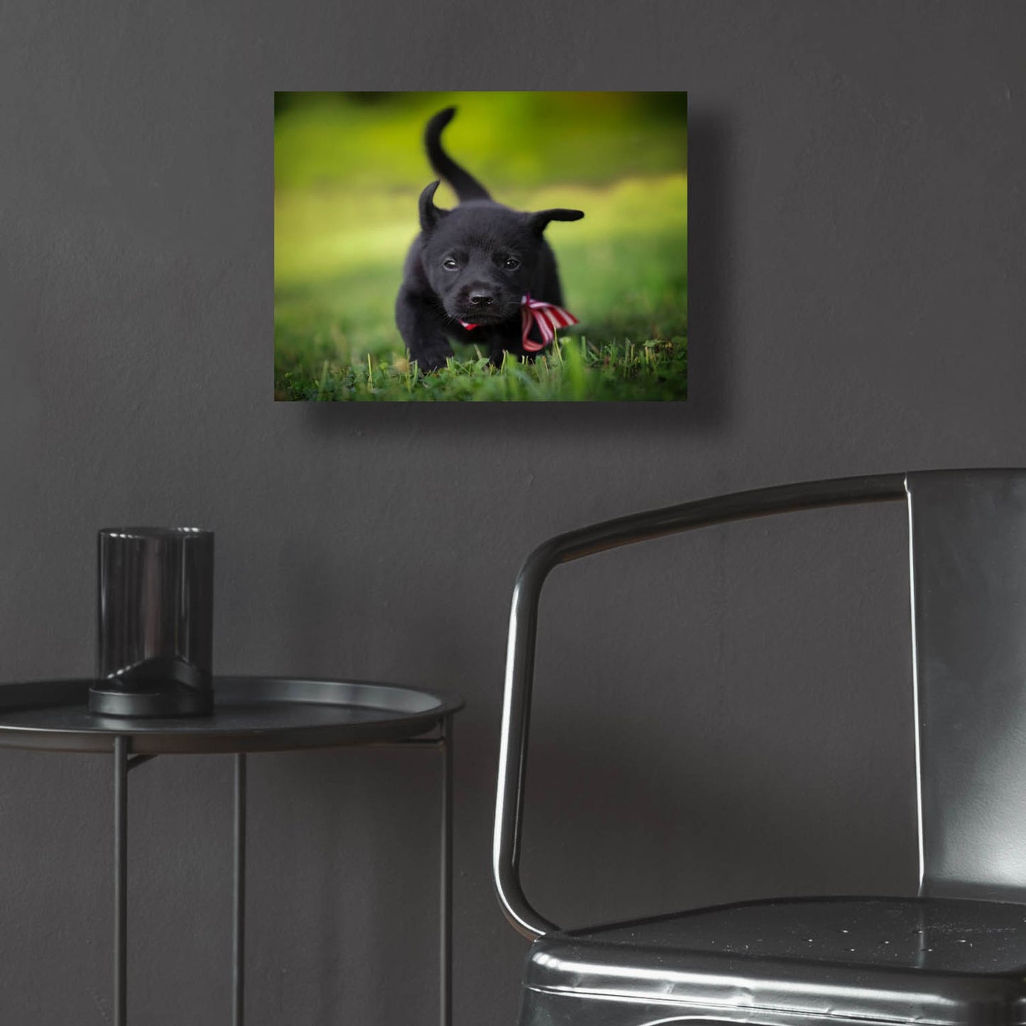 Epic Art 'Black Lab Pup 11' by Jonathan Ross, Acrylic Glass Wall Art,16x12