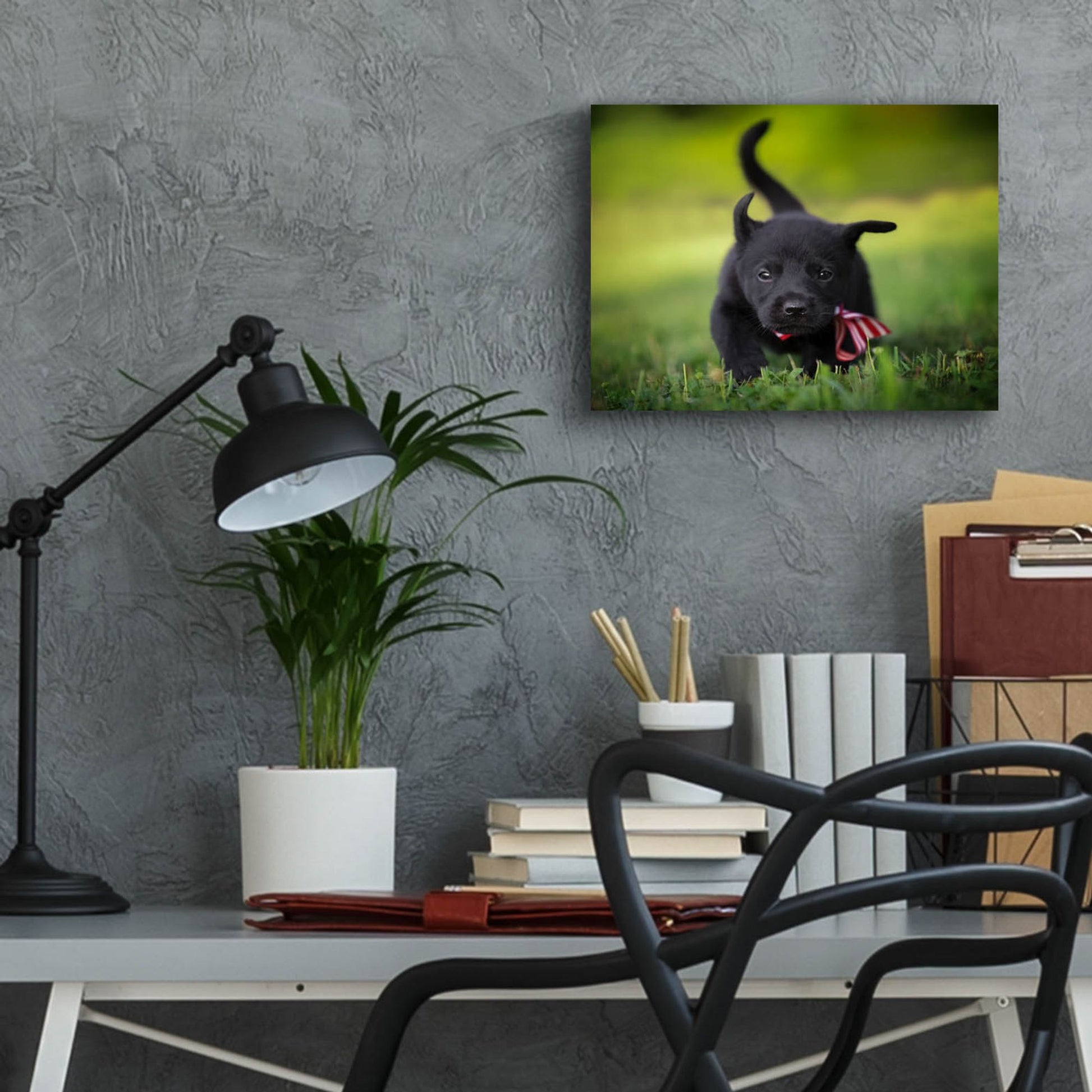 Epic Art 'Black Lab Pup 11' by Jonathan Ross, Acrylic Glass Wall Art,16x12