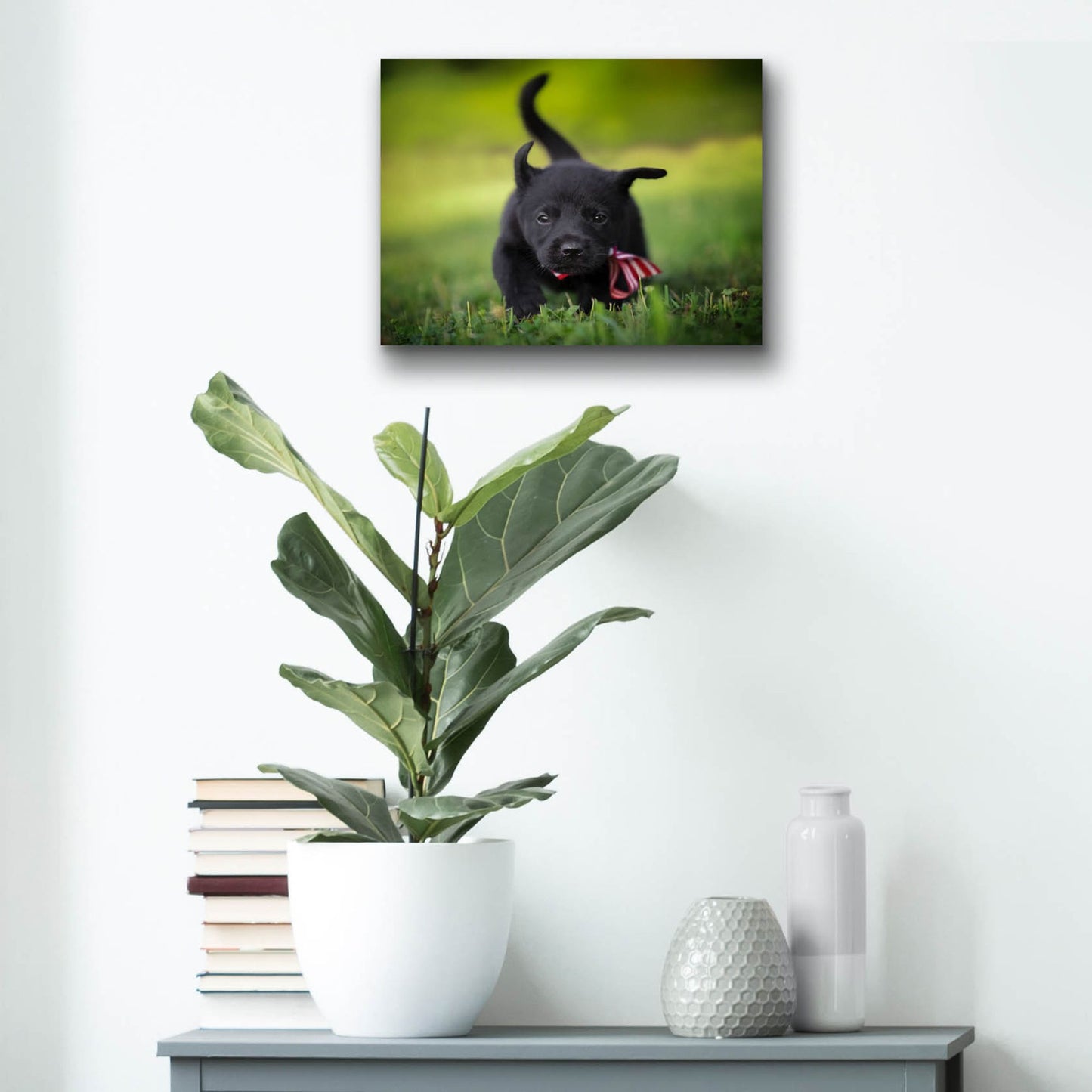 Epic Art 'Black Lab Pup 11' by Jonathan Ross, Acrylic Glass Wall Art,16x12