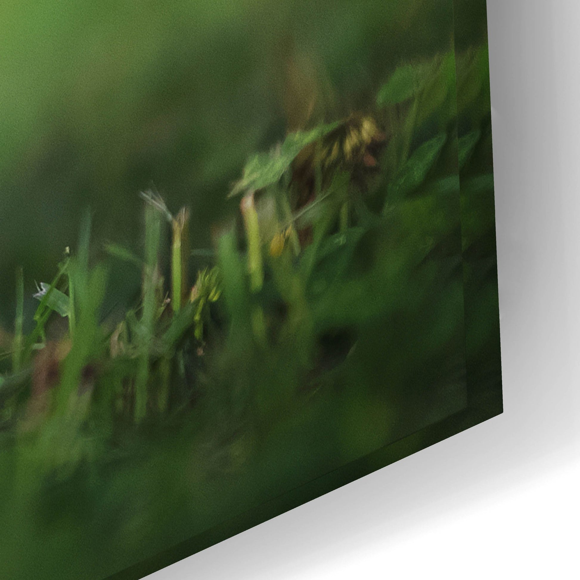 Epic Art 'Black Lab Pup 11' by Jonathan Ross, Acrylic Glass Wall Art,24x16