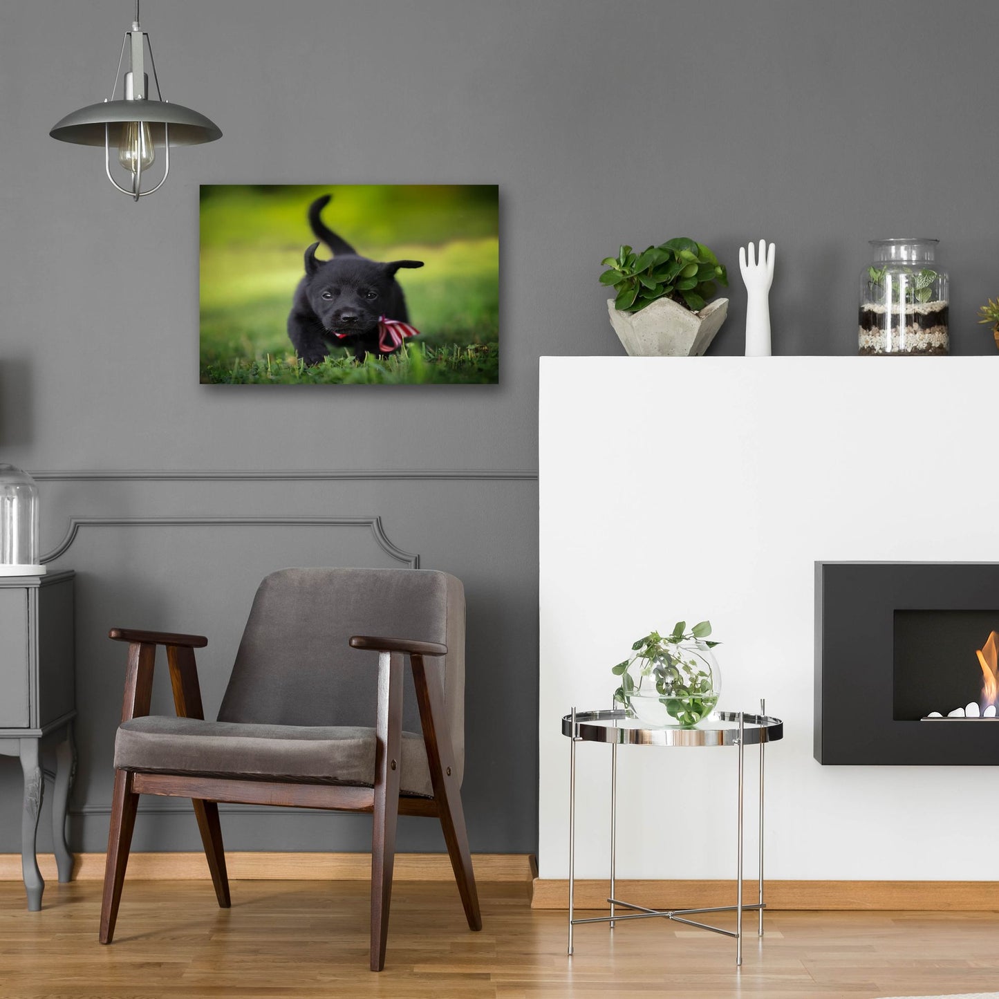 Epic Art 'Black Lab Pup 11' by Jonathan Ross, Acrylic Glass Wall Art,24x16