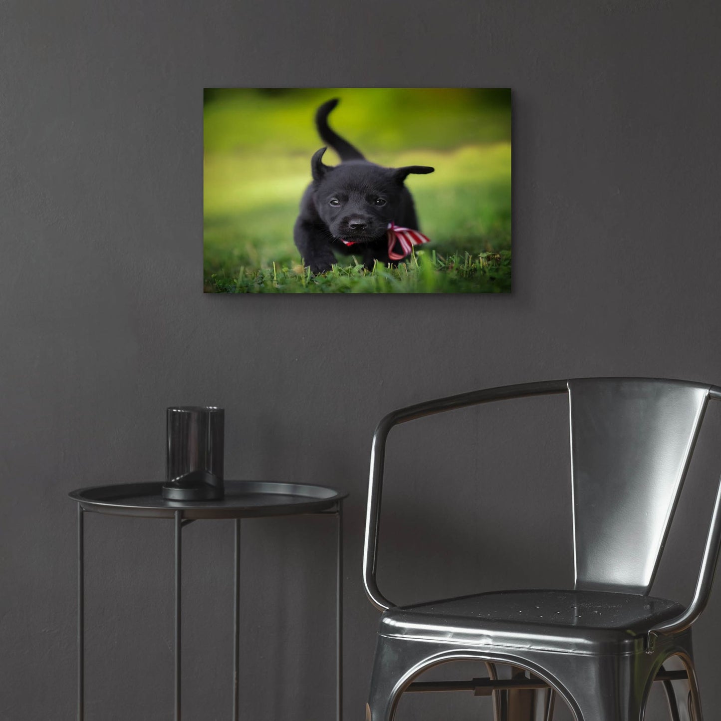 Epic Art 'Black Lab Pup 11' by Jonathan Ross, Acrylic Glass Wall Art,24x16