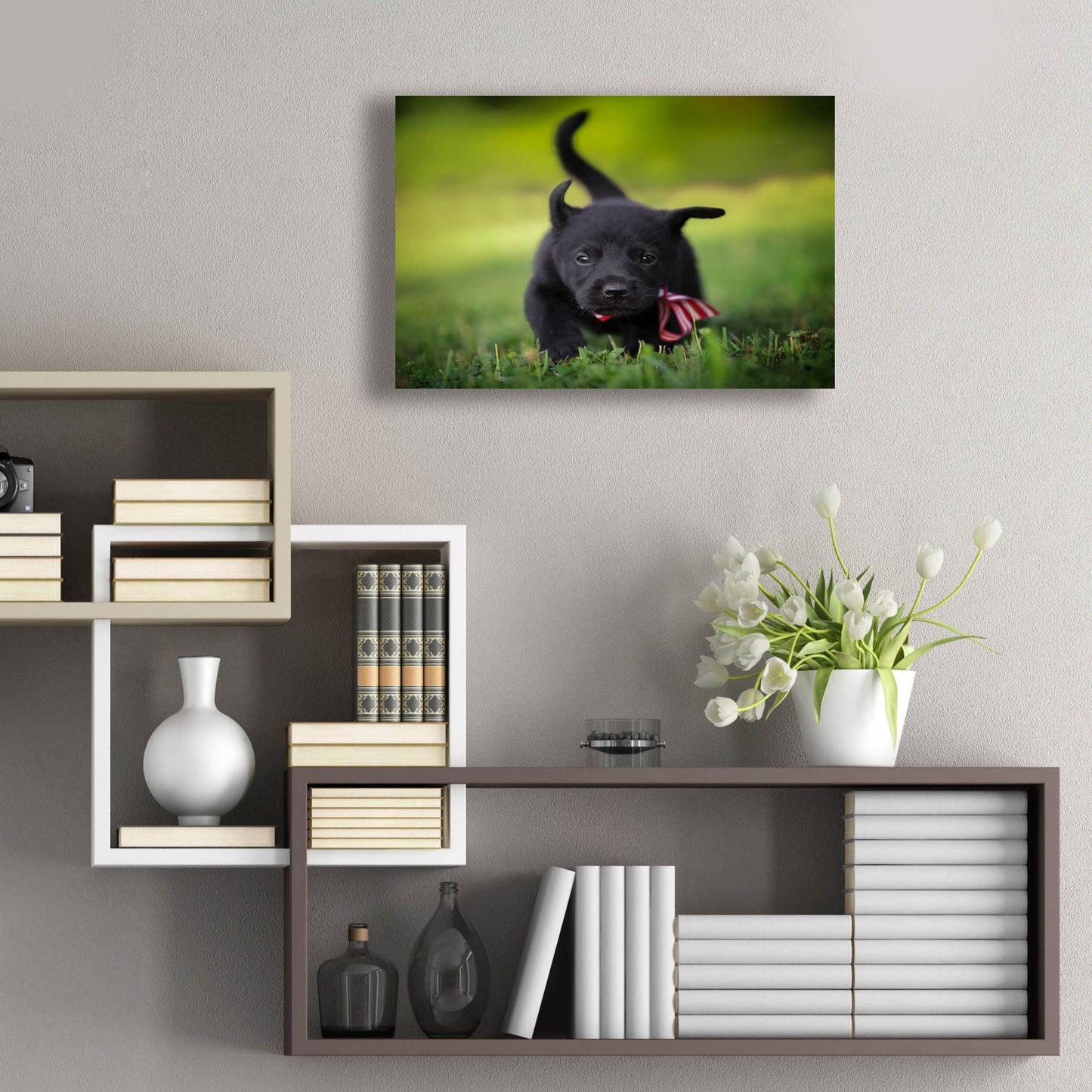 Epic Art 'Black Lab Pup 11' by Jonathan Ross, Acrylic Glass Wall Art,24x16