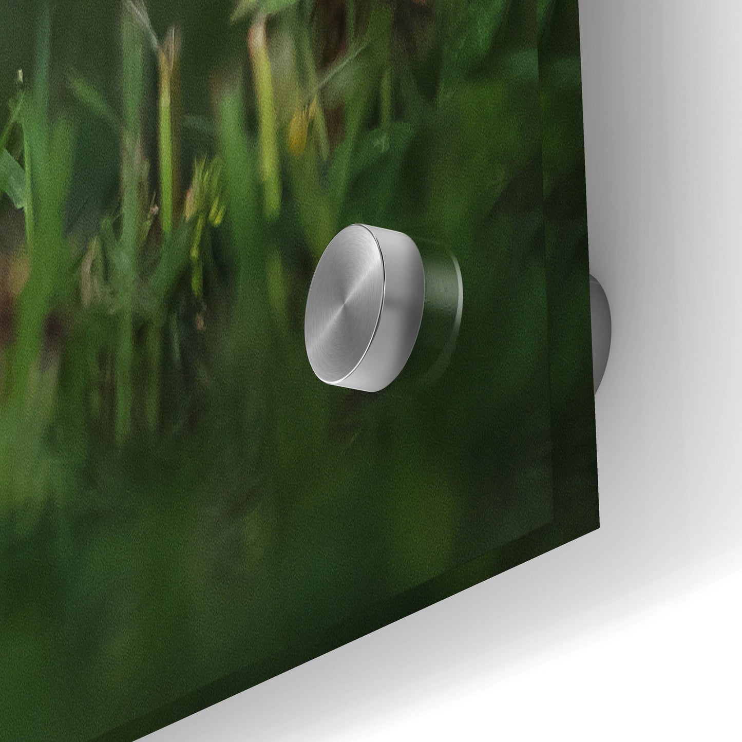 Epic Art 'Black Lab Pup 11' by Jonathan Ross, Acrylic Glass Wall Art,36x24