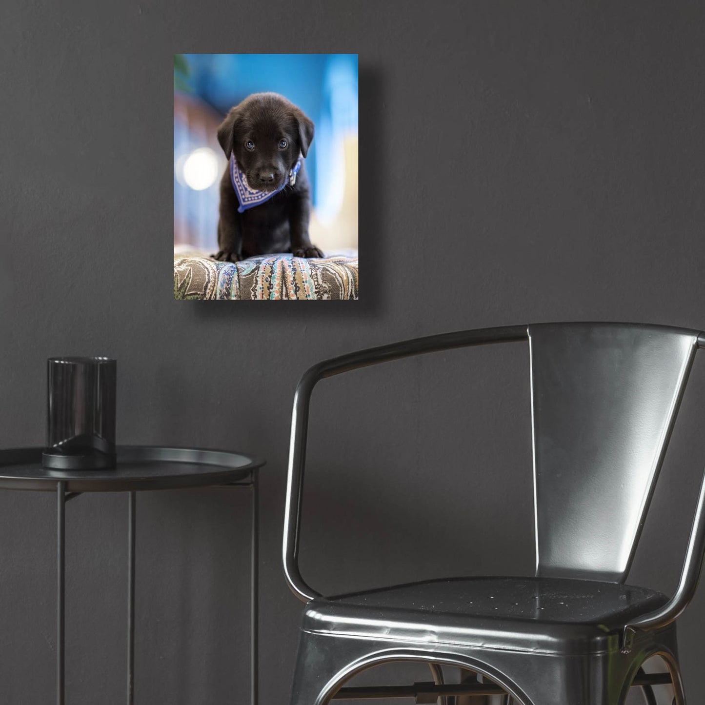 Epic Art 'Black Lab Pup 12' by Jonathan Ross, Acrylic Glass Wall Art,12x16
