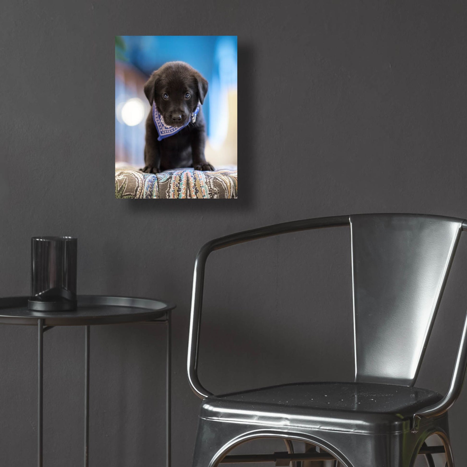 Epic Art 'Black Lab Pup 12' by Jonathan Ross, Acrylic Glass Wall Art,12x16