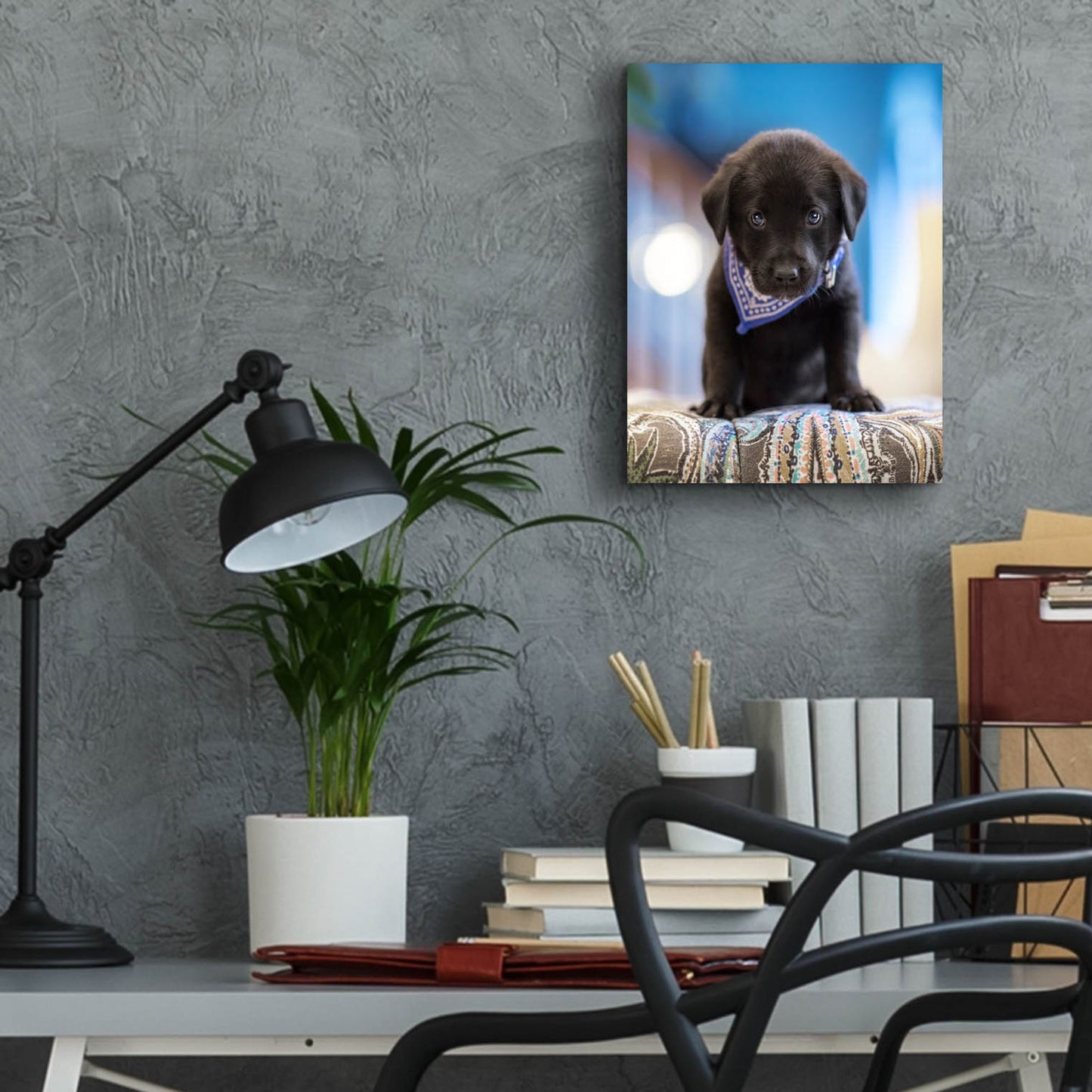 Epic Art 'Black Lab Pup 12' by Jonathan Ross, Acrylic Glass Wall Art,12x16