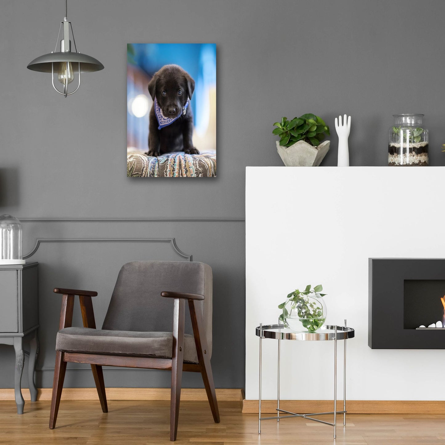 Epic Art 'Black Lab Pup 12' by Jonathan Ross, Acrylic Glass Wall Art,16x24