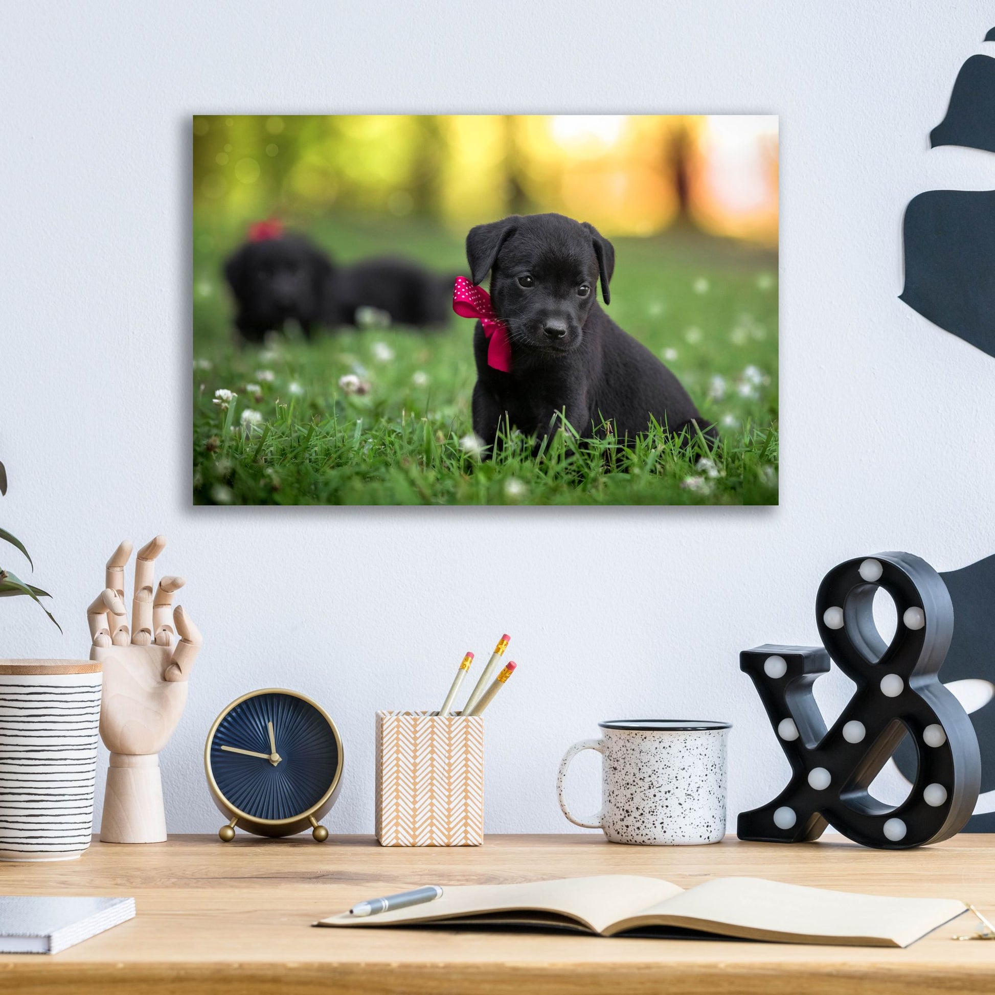 Epic Art 'Black Lab Pup 13' by Jonathan Ross, Acrylic Glass Wall Art,16x12