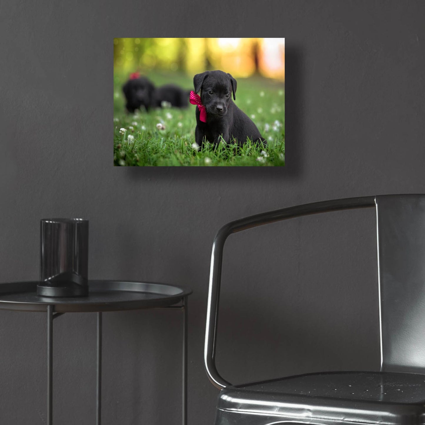 Epic Art 'Black Lab Pup 13' by Jonathan Ross, Acrylic Glass Wall Art,16x12