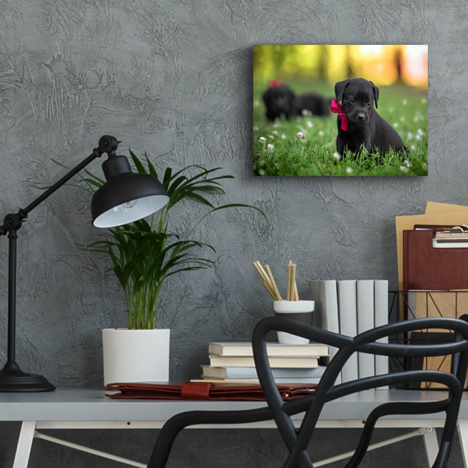 Epic Art 'Black Lab Pup 13' by Jonathan Ross, Acrylic Glass Wall Art,16x12