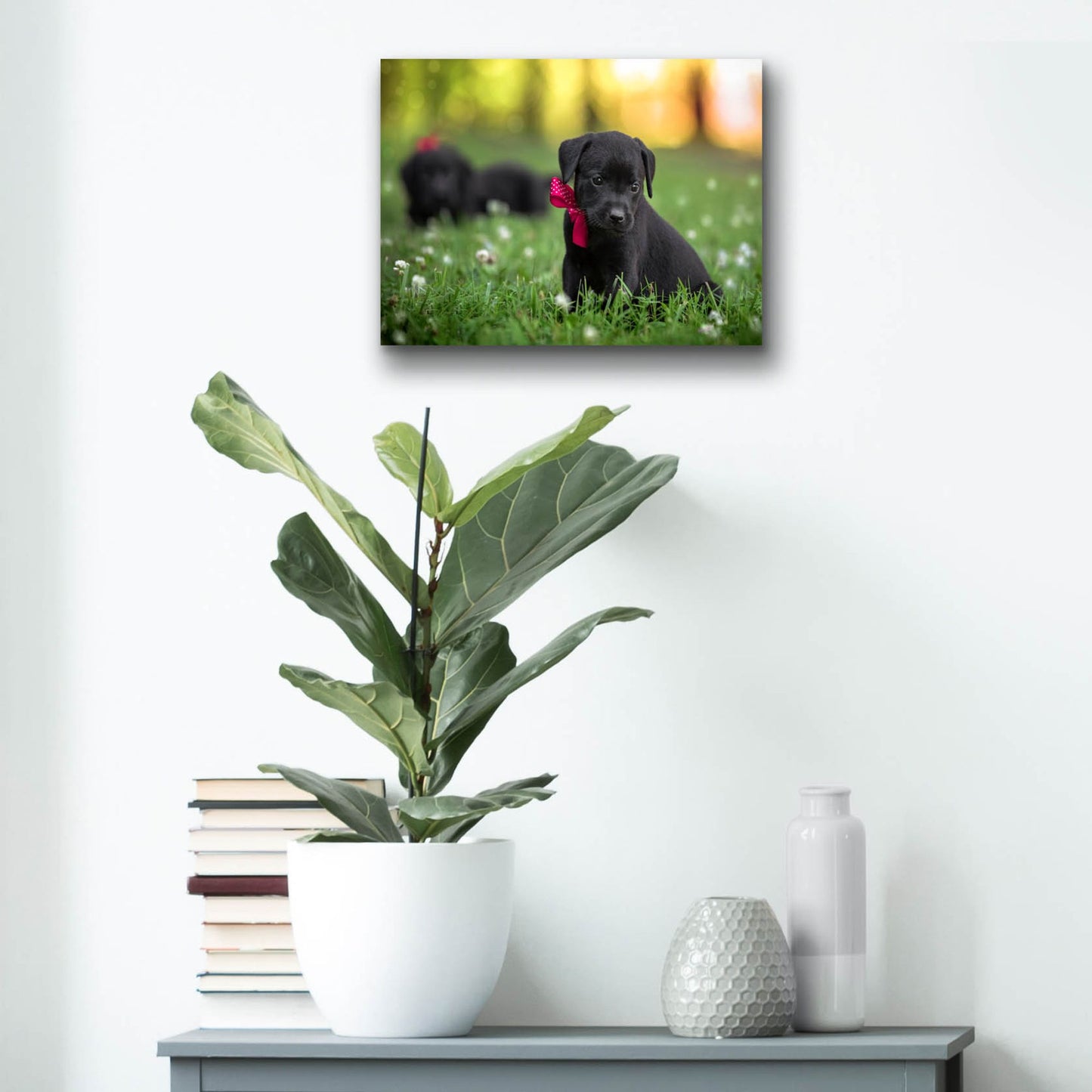 Epic Art 'Black Lab Pup 13' by Jonathan Ross, Acrylic Glass Wall Art,16x12