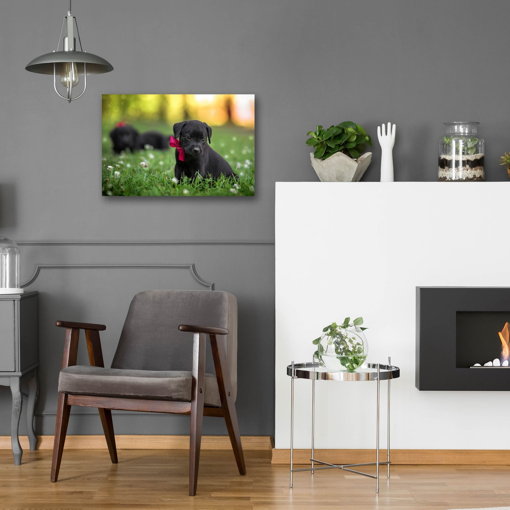 Epic Art 'Black Lab Pup 13' by Jonathan Ross, Acrylic Glass Wall Art,24x16