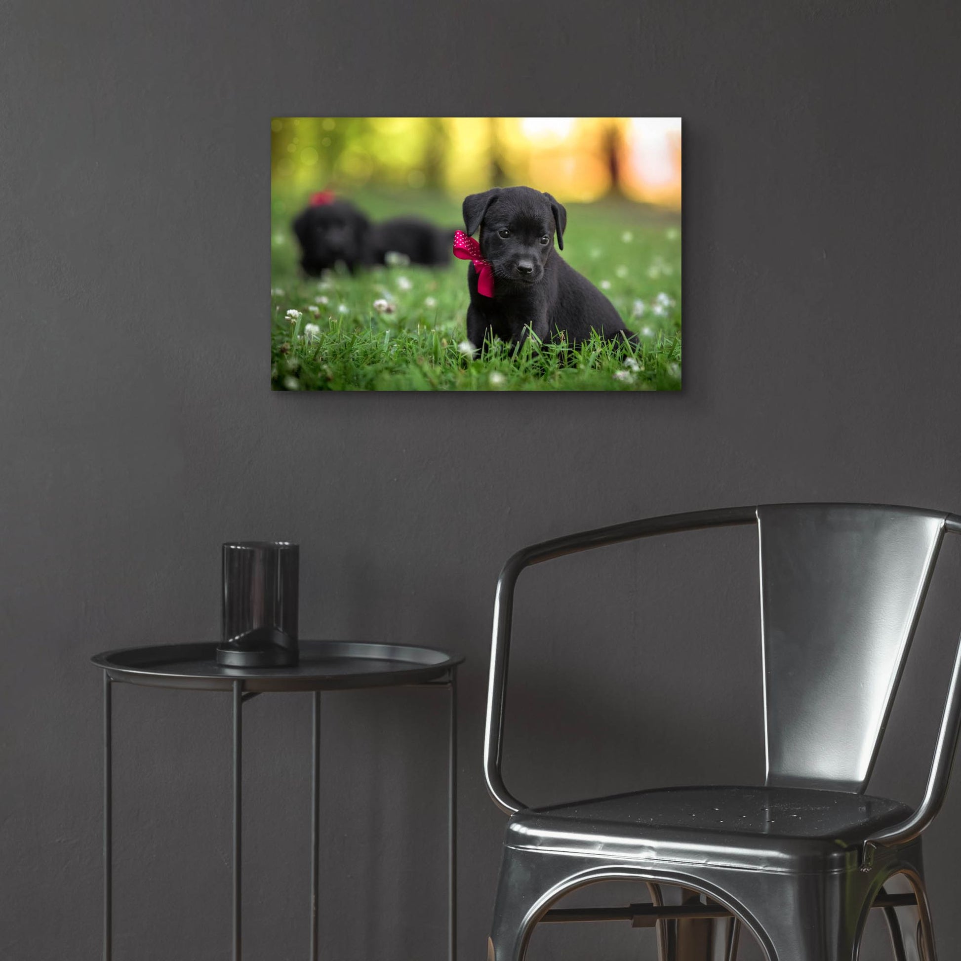 Epic Art 'Black Lab Pup 13' by Jonathan Ross, Acrylic Glass Wall Art,24x16