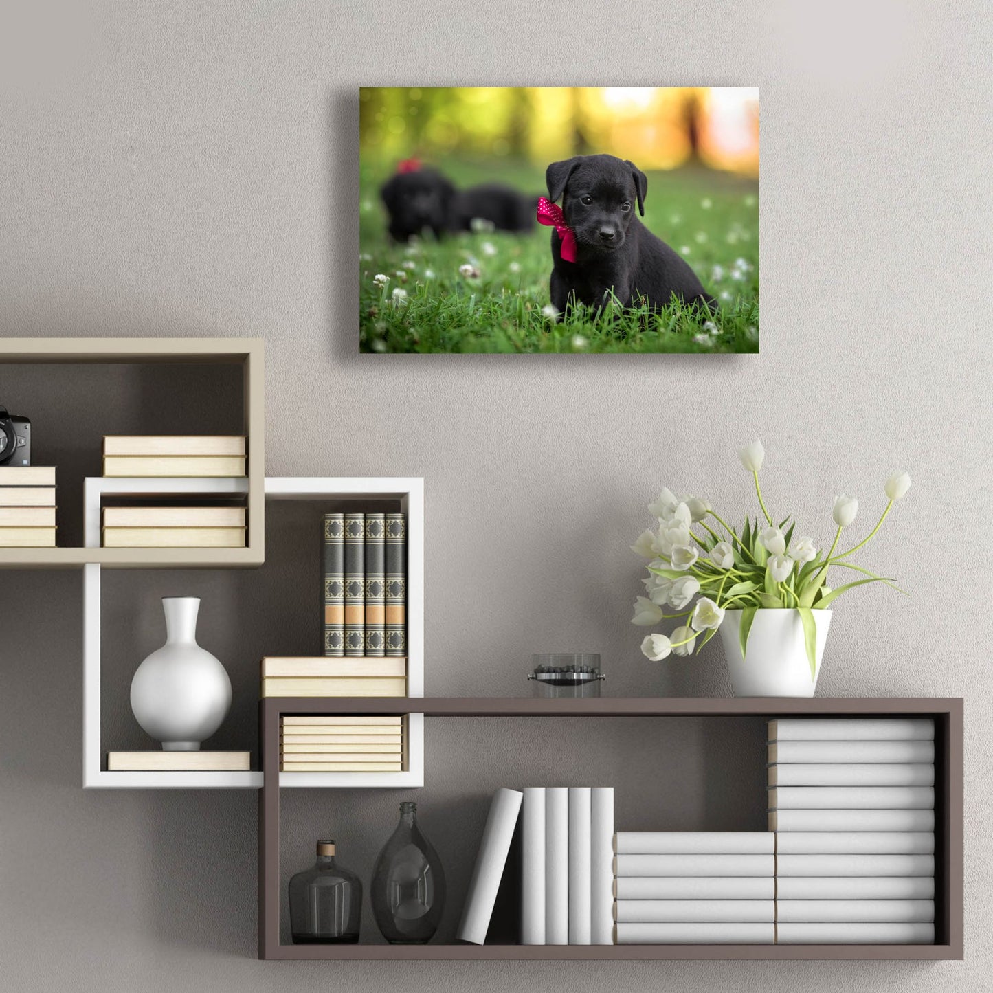 Epic Art 'Black Lab Pup 13' by Jonathan Ross, Acrylic Glass Wall Art,24x16