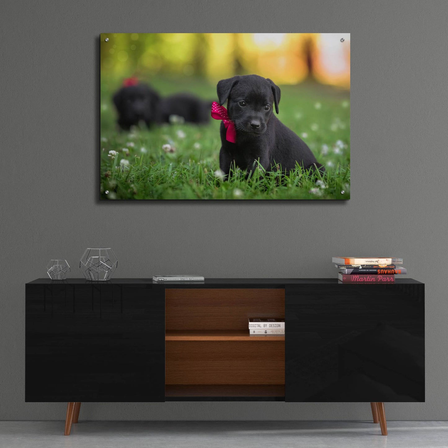 Epic Art 'Black Lab Pup 13' by Jonathan Ross, Acrylic Glass Wall Art,36x24