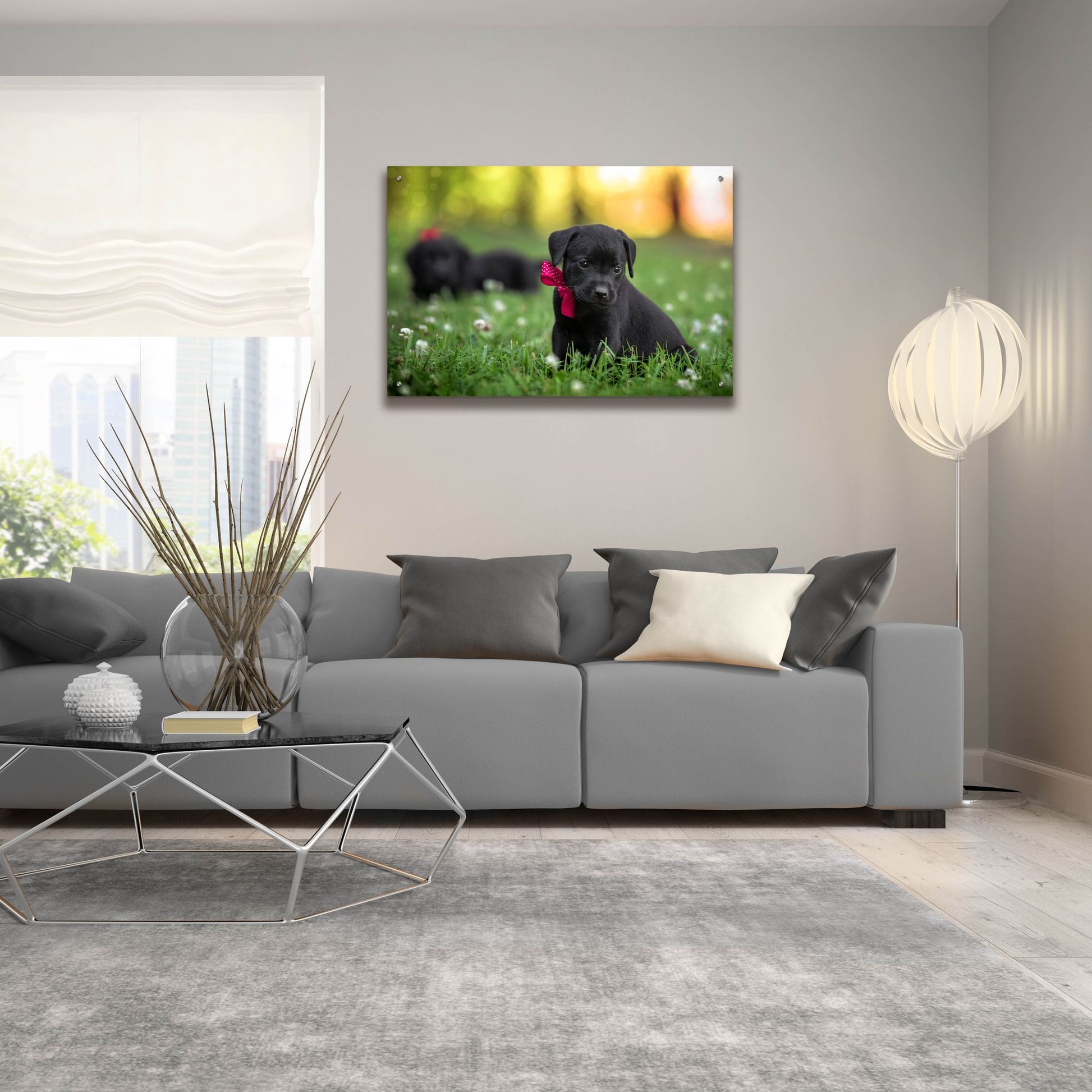 Epic Art 'Black Lab Pup 13' by Jonathan Ross, Acrylic Glass Wall Art,36x24