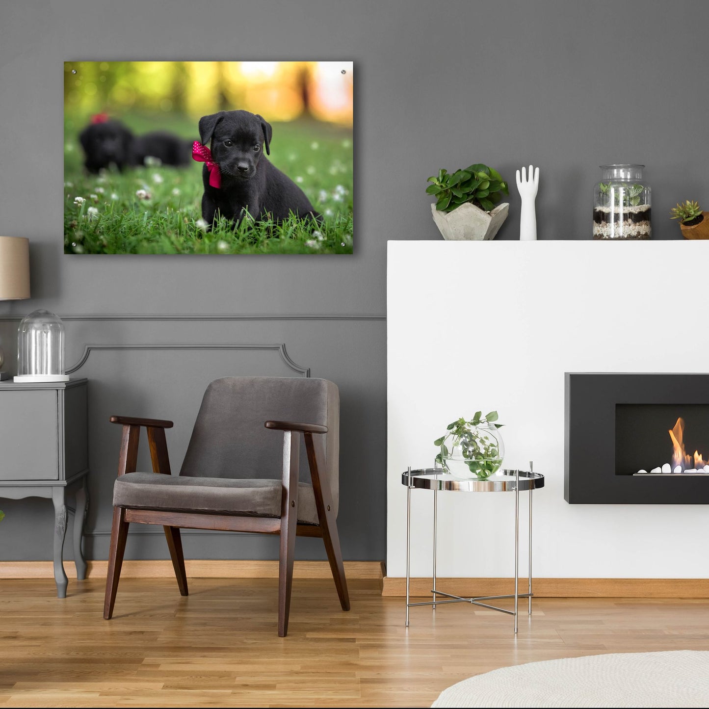 Epic Art 'Black Lab Pup 13' by Jonathan Ross, Acrylic Glass Wall Art,36x24