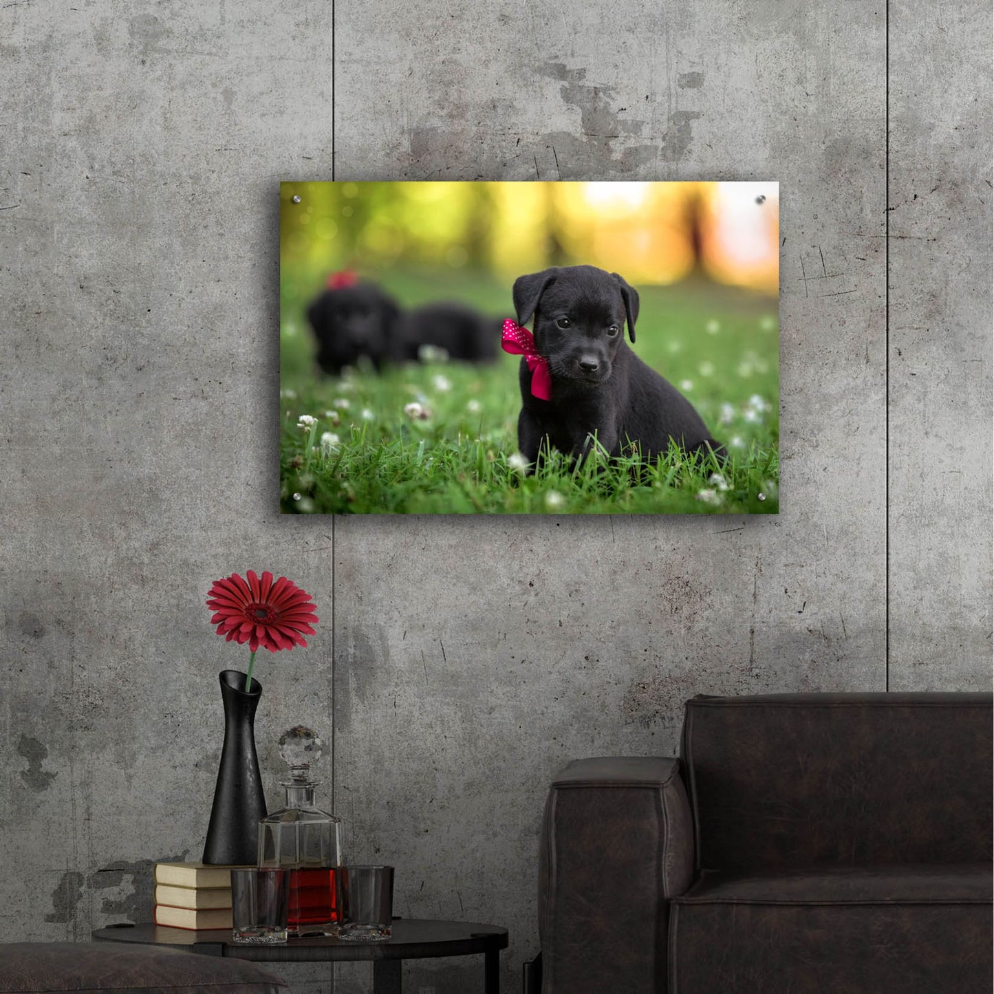 Epic Art 'Black Lab Pup 13' by Jonathan Ross, Acrylic Glass Wall Art,36x24
