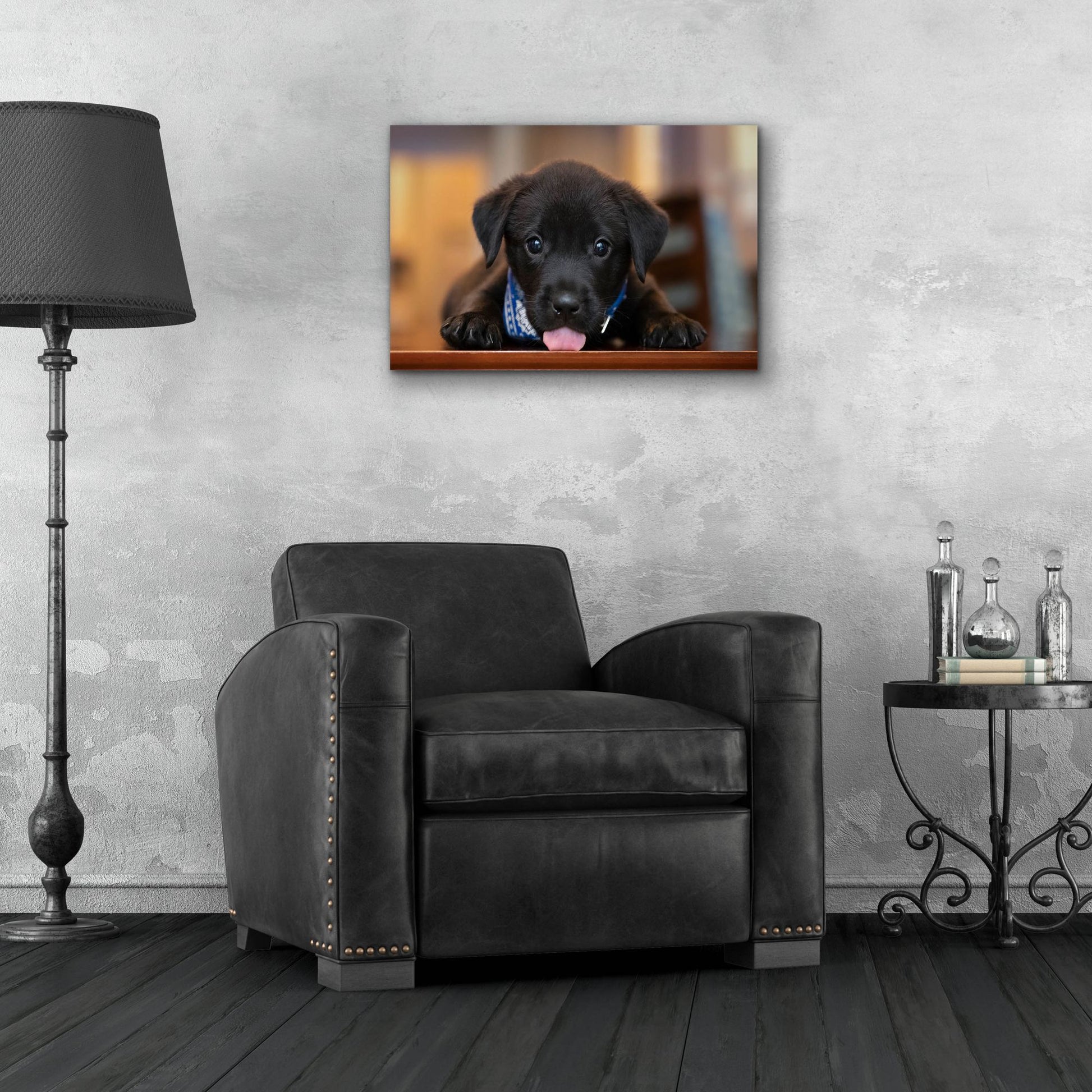 Epic Art 'Black Lab Pup 14' by Jonathan Ross, Acrylic Glass Wall Art,24x16