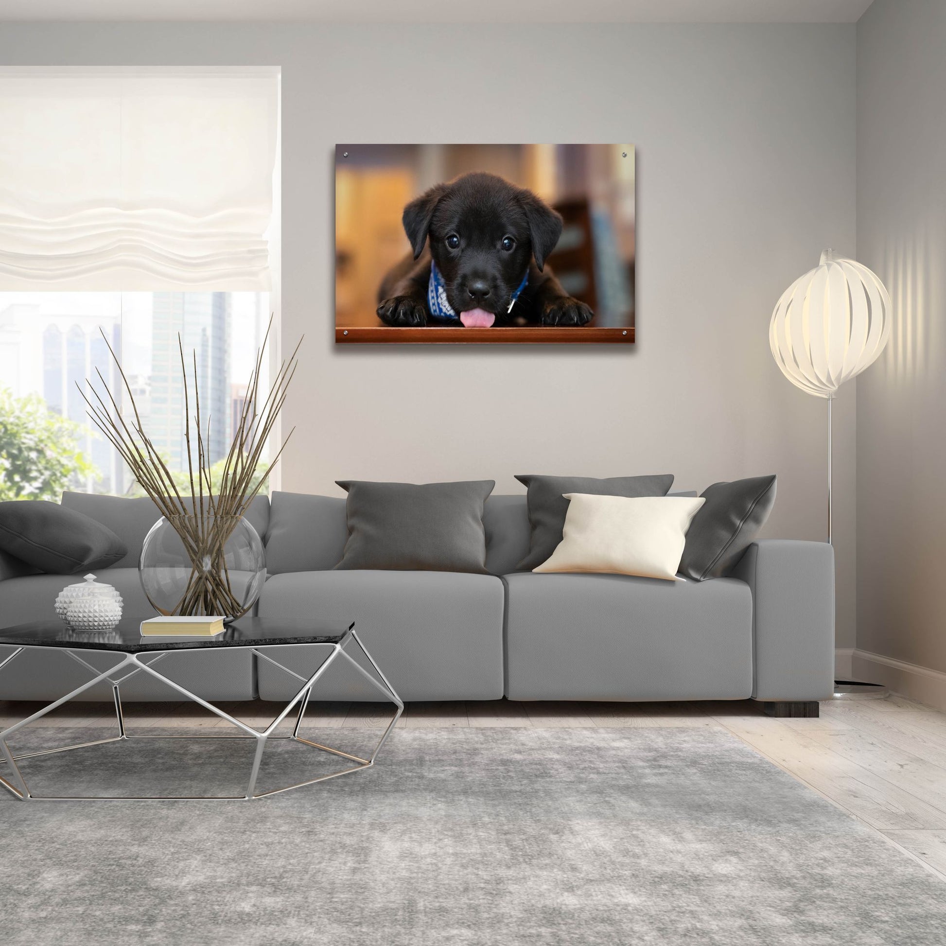 Epic Art 'Black Lab Pup 14' by Jonathan Ross, Acrylic Glass Wall Art,36x24