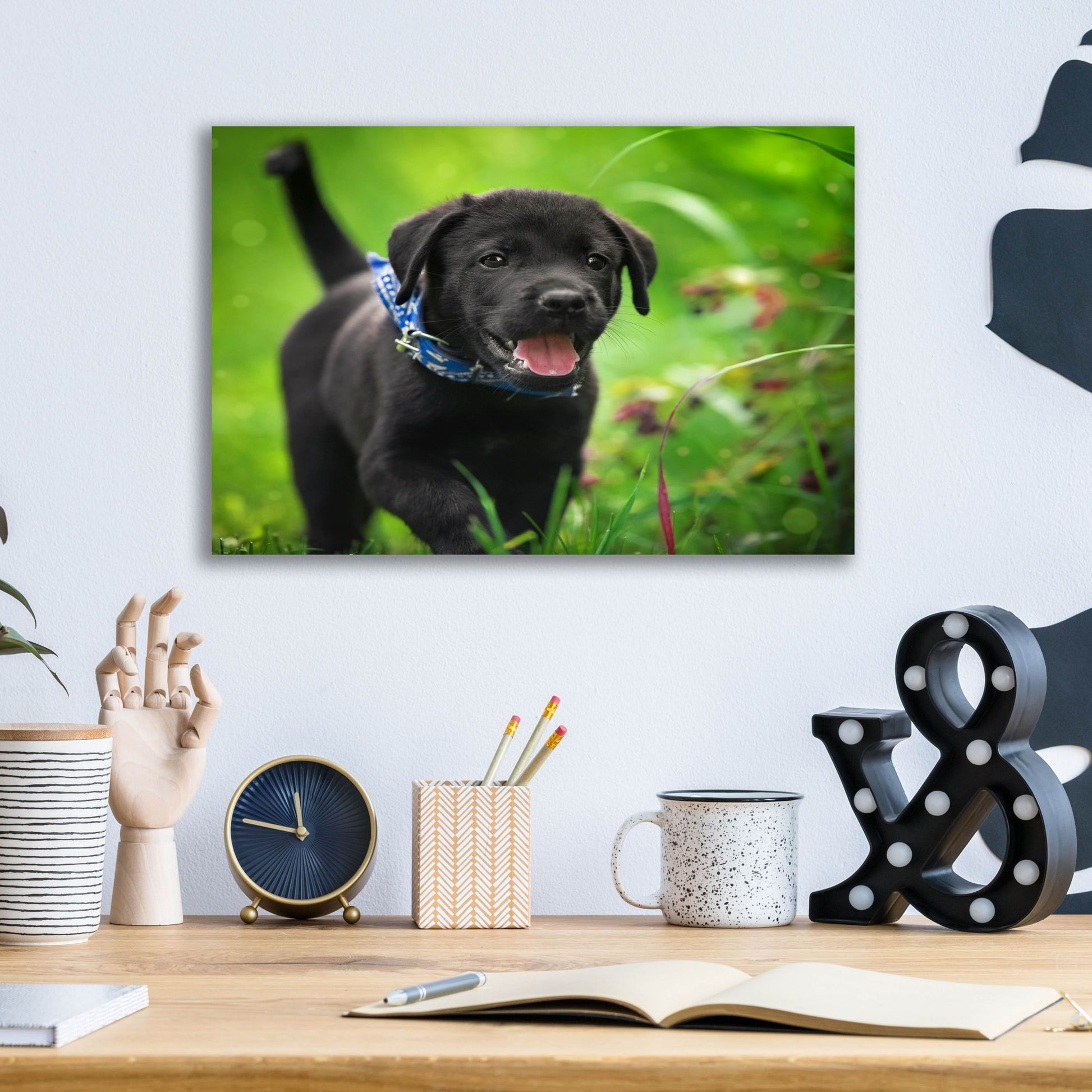 Epic Art 'Black Lab Pup 15' by Jonathan Ross, Acrylic Glass Wall Art,16x12