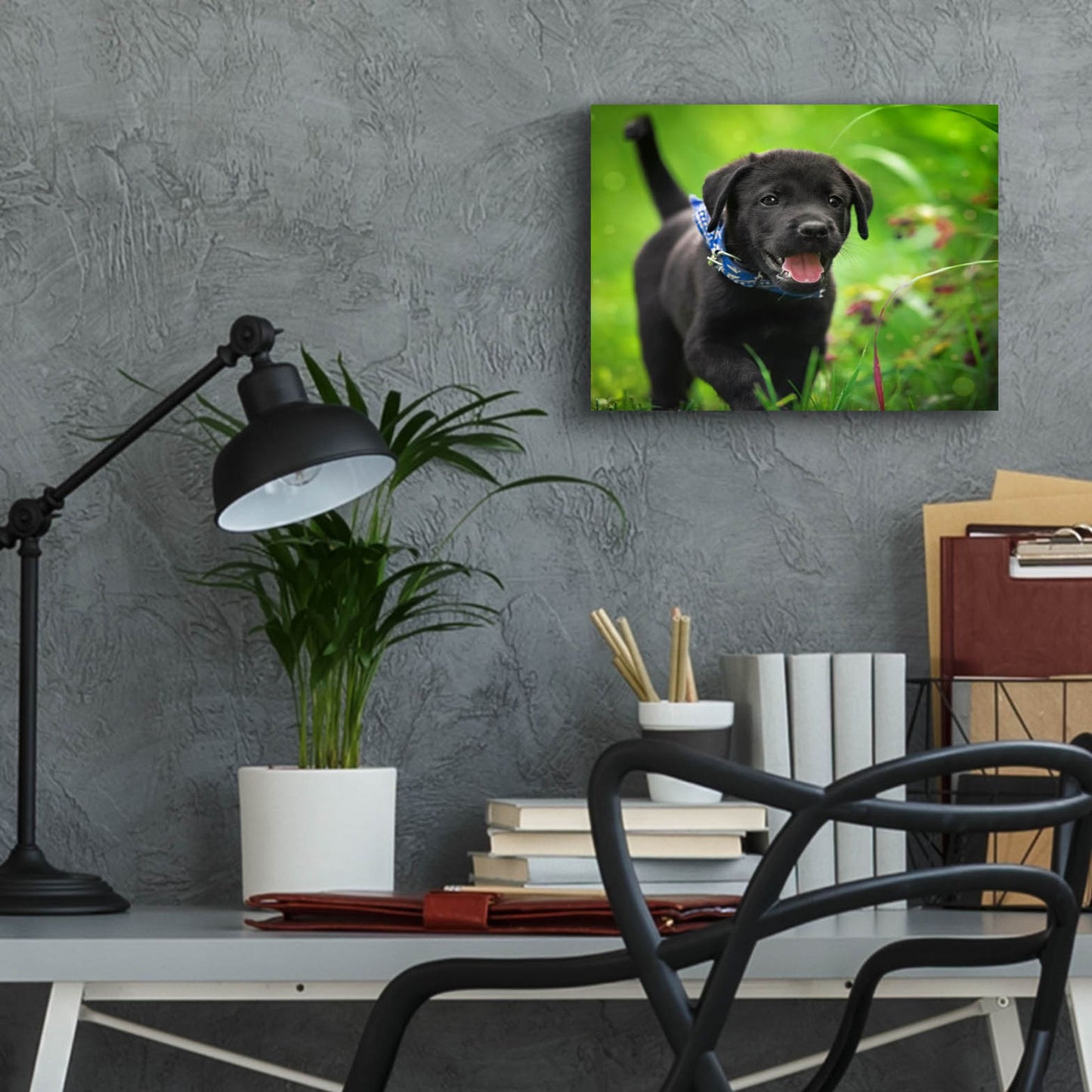 Epic Art 'Black Lab Pup 15' by Jonathan Ross, Acrylic Glass Wall Art,16x12