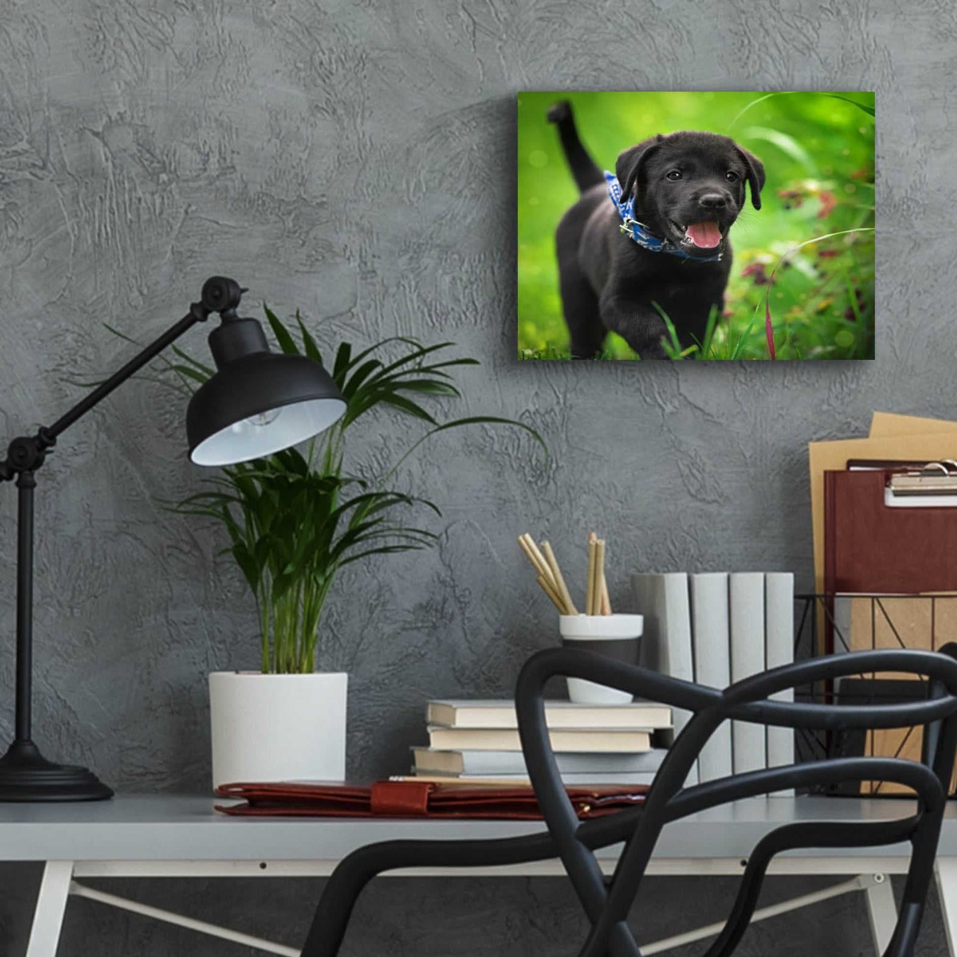 Epic Art 'Black Lab Pup 15' by Jonathan Ross, Acrylic Glass Wall Art,16x12