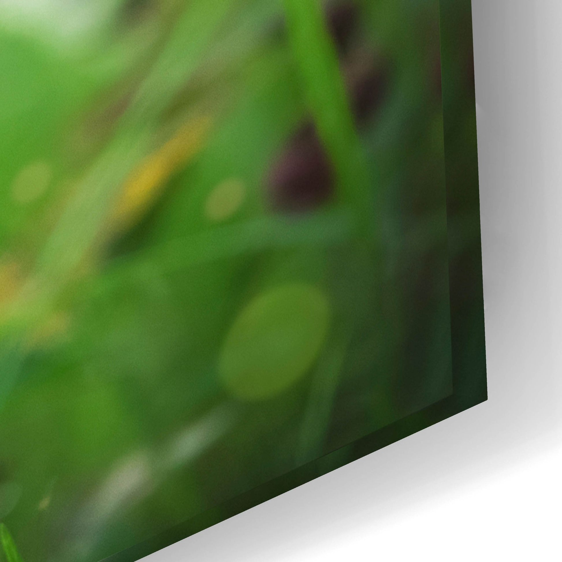 Epic Art 'Black Lab Pup 15' by Jonathan Ross, Acrylic Glass Wall Art,24x16