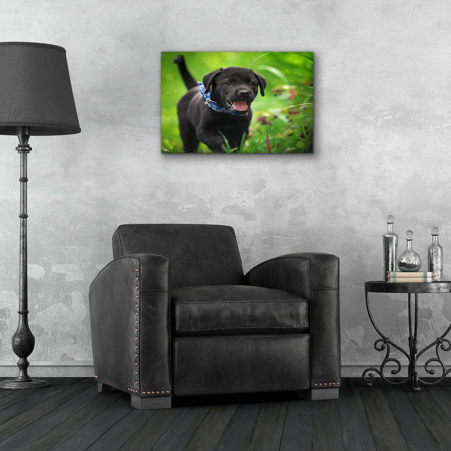 Epic Art 'Black Lab Pup 15' by Jonathan Ross, Acrylic Glass Wall Art,24x16