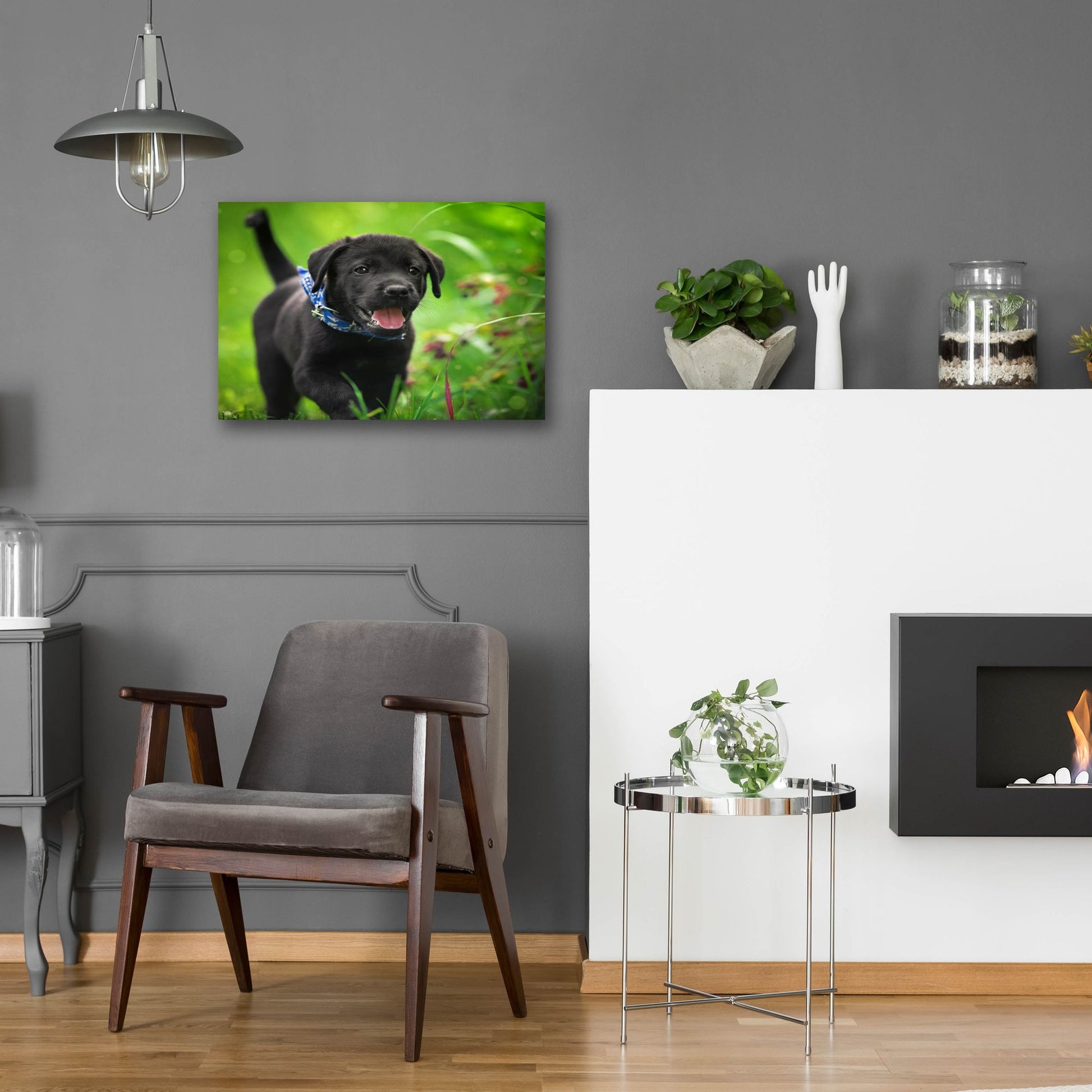 Epic Art 'Black Lab Pup 15' by Jonathan Ross, Acrylic Glass Wall Art,24x16
