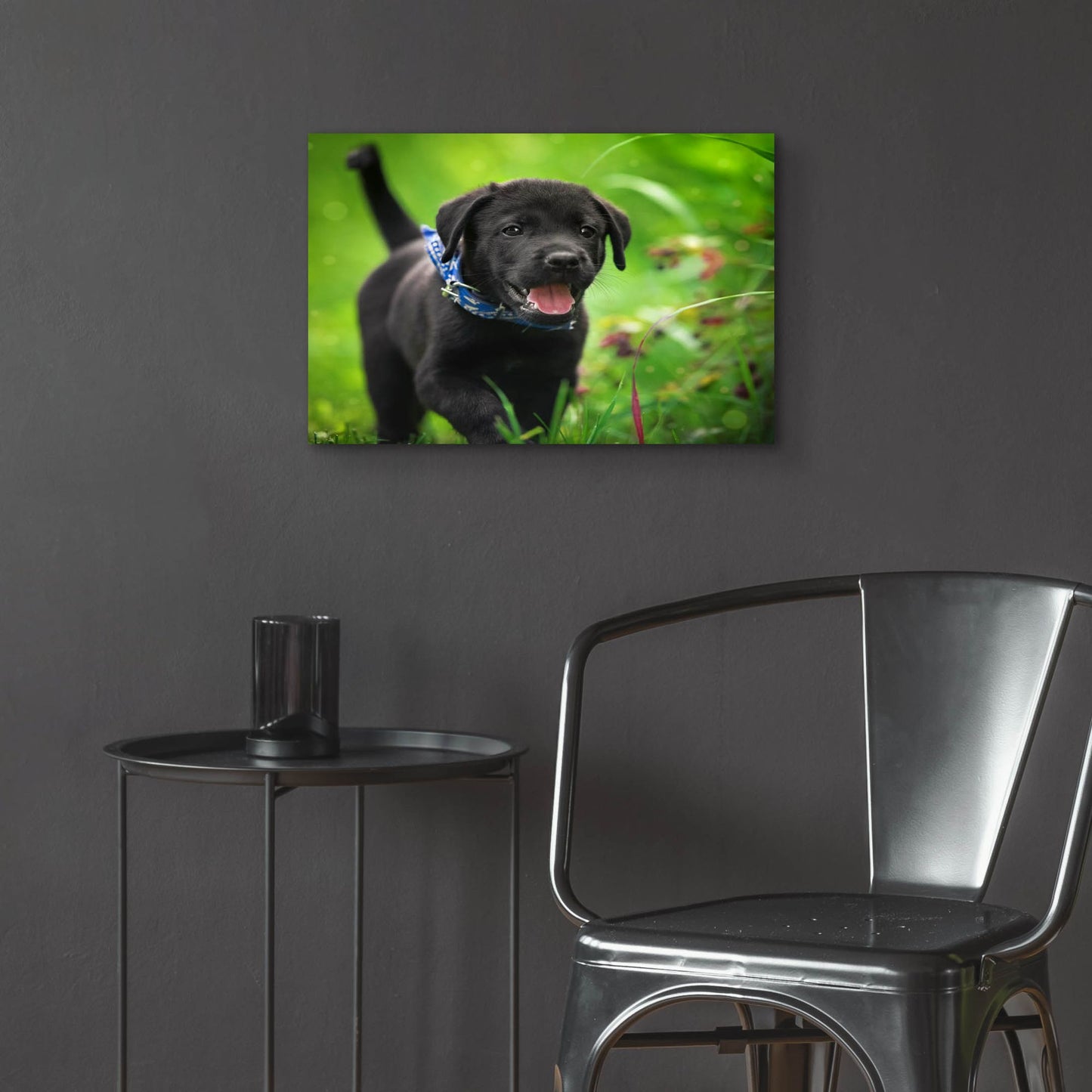 Epic Art 'Black Lab Pup 15' by Jonathan Ross, Acrylic Glass Wall Art,24x16